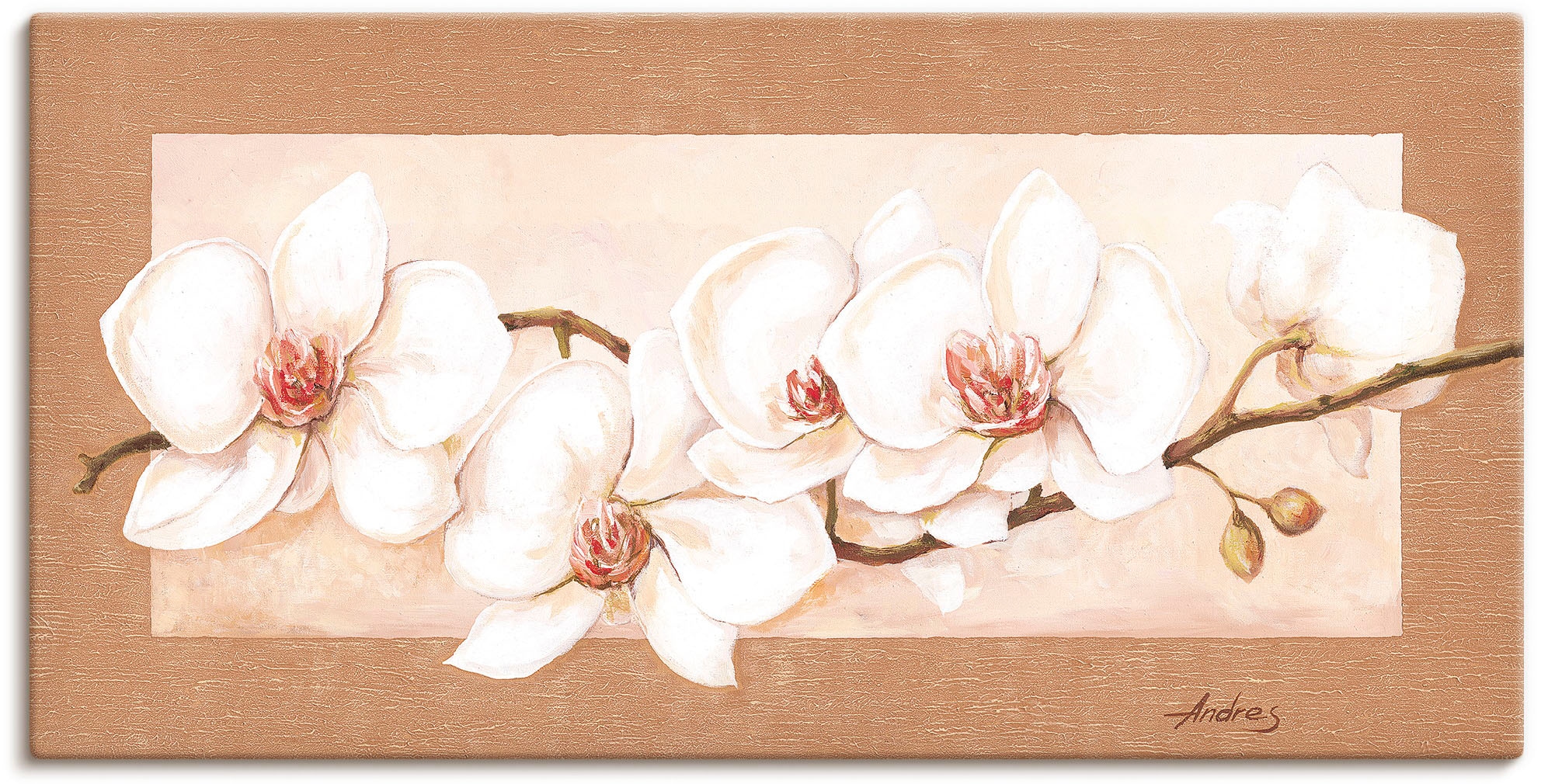 Image of Artland Wandbild "Orchideenzweig" Blumenbilder 1 Stk. tlg. als Alubild, Leinwandbild in verschied. Grössen