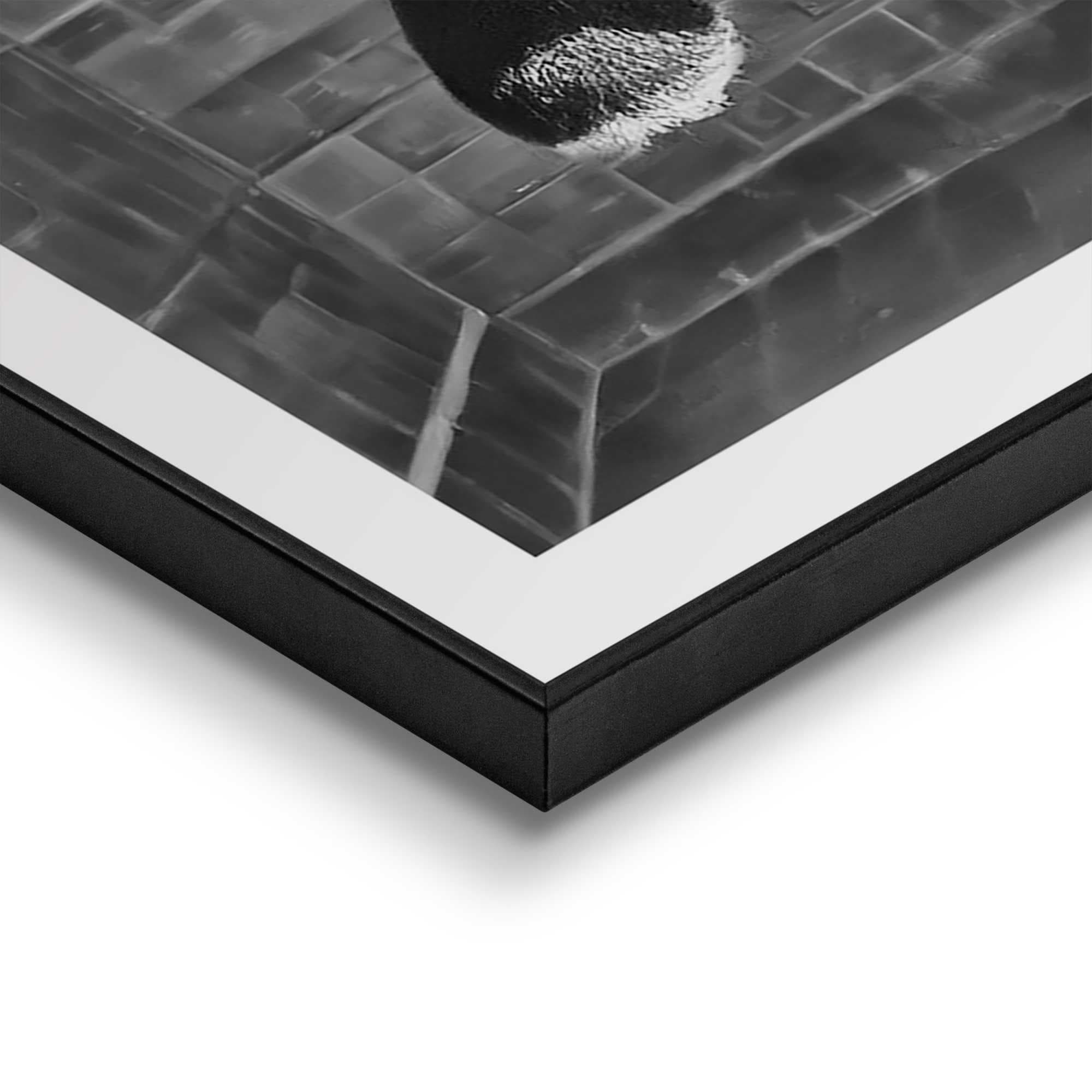 Reinders! Tableau avec cadre »Highlander Toilet«