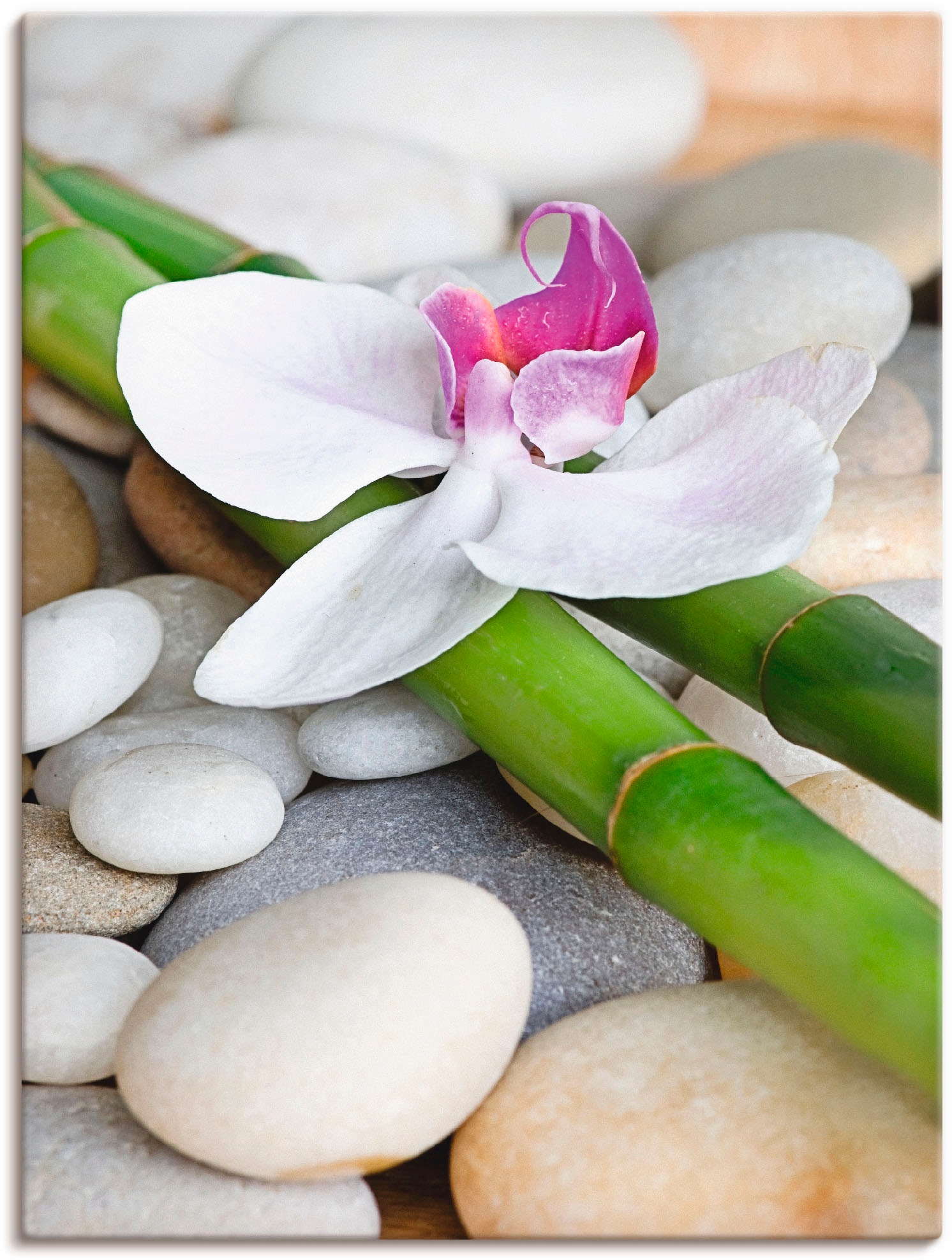 Image of Artland Leinwandbild "Zen Orchidee" Zen 1 Stk. tlg. auf Holzrahmen gespannt