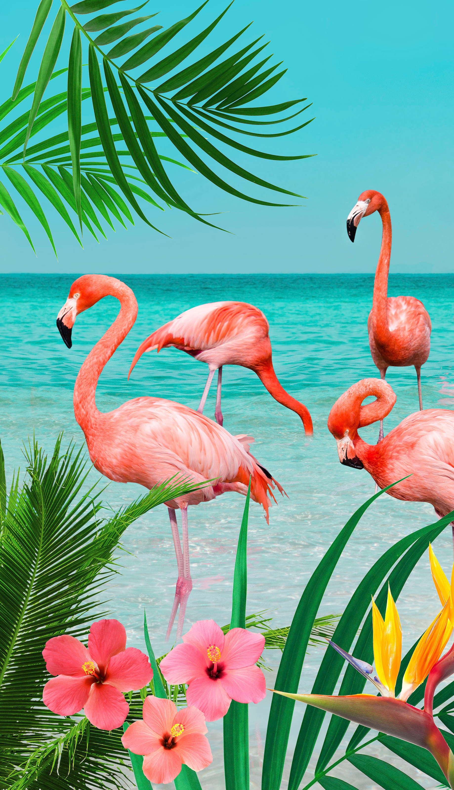 good morning Strandtuch (1 bequem »Flamingo«, kaufen Flamingos mit St.)