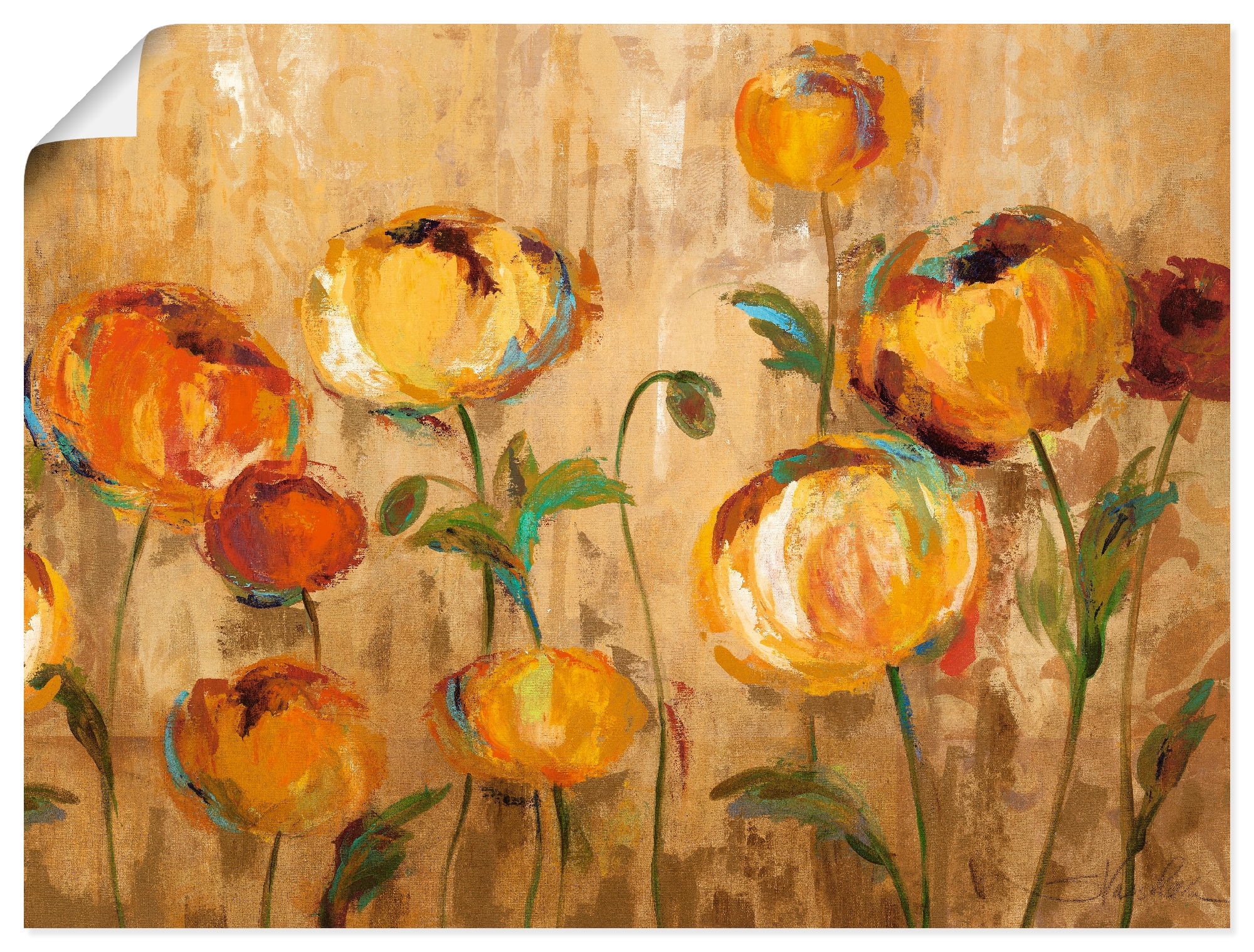 Artland Wandbild »Freudige Ranunkel«, Blumen, (1 St.), als Leinwandbild,  Wandaufkleber oder Poster in versch. Grössen jetzt kaufen