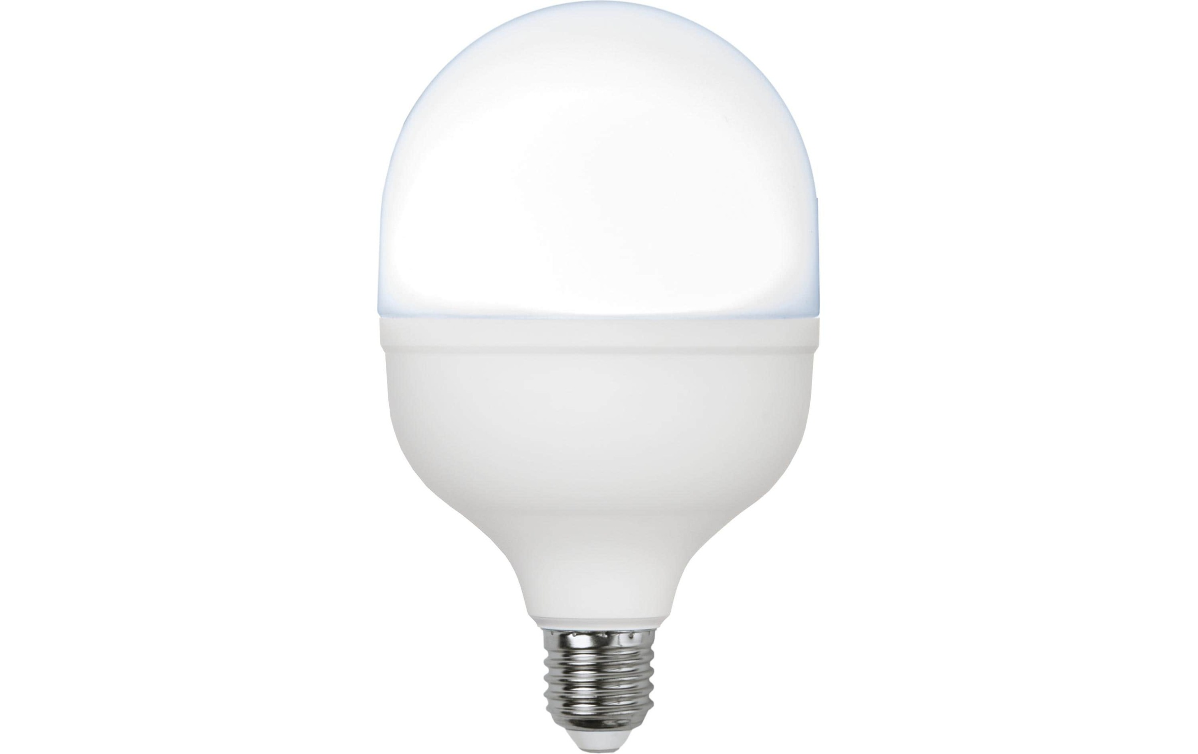 Parforce Traditional Hunting LED-Leuchtmittel »Lampe LED High Lumen,«