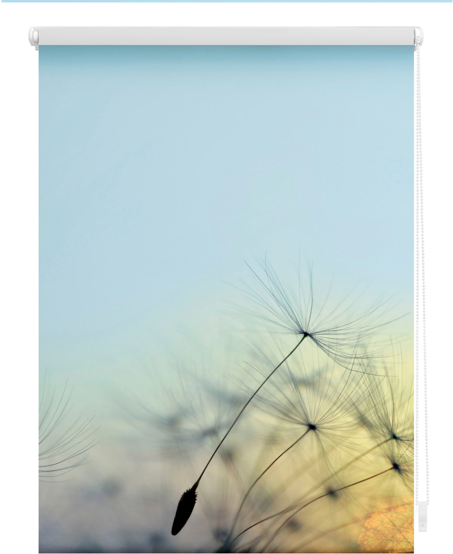 Image of LICHTBLICK ORIGINAL Seitenzugrollo "Rollo Klemmfix, ohne Bohren, Verdunkelung, Pusteblume - Blau" verdunkelnd Verdunkelung energiesparend freihängend