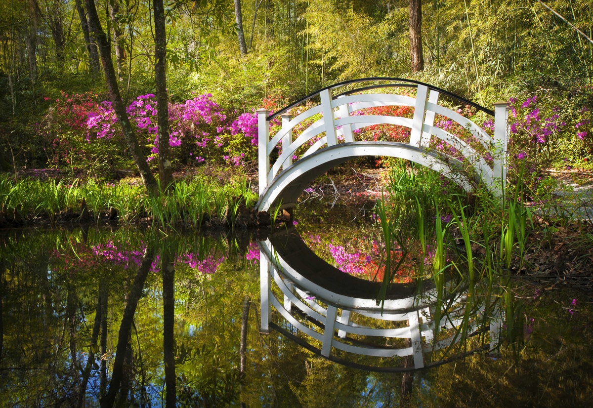 Image of Papermoon Fototapete "GARTEN-NATUR LANDSCHAFT WALD BÄUME BLUMEN BRÜCKE SEE"