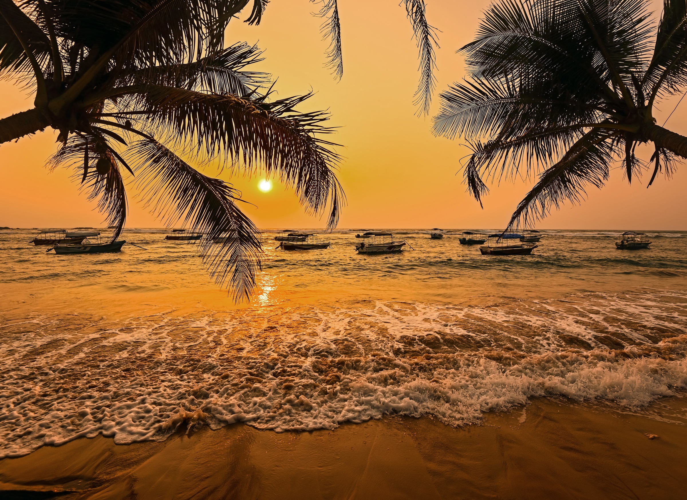 Image of Papermoon Fototapete »Sri Lanka Palm Beach« bei Ackermann Versand Schweiz
