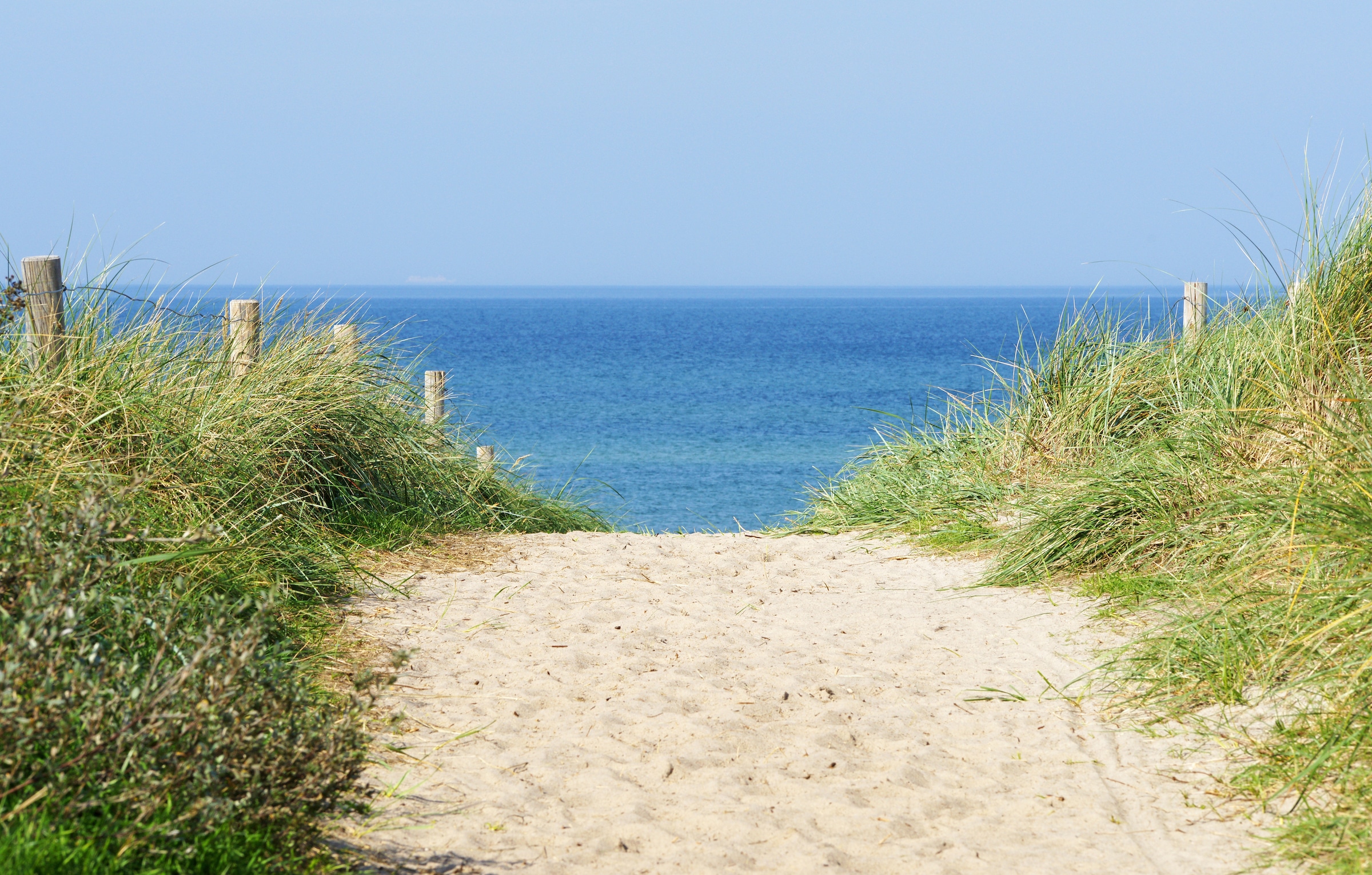 Image of Papermoon Fototapete "Dune at the Ocean" glatt