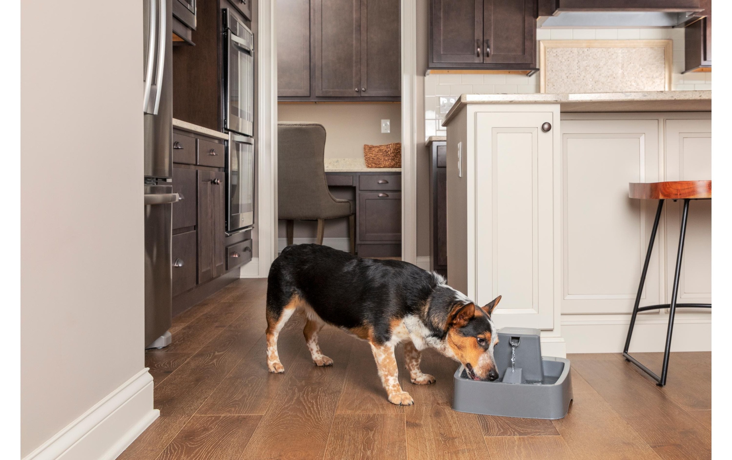 PetSafe Wasserspender »Drinkwell Trinkbrunnen PET l«