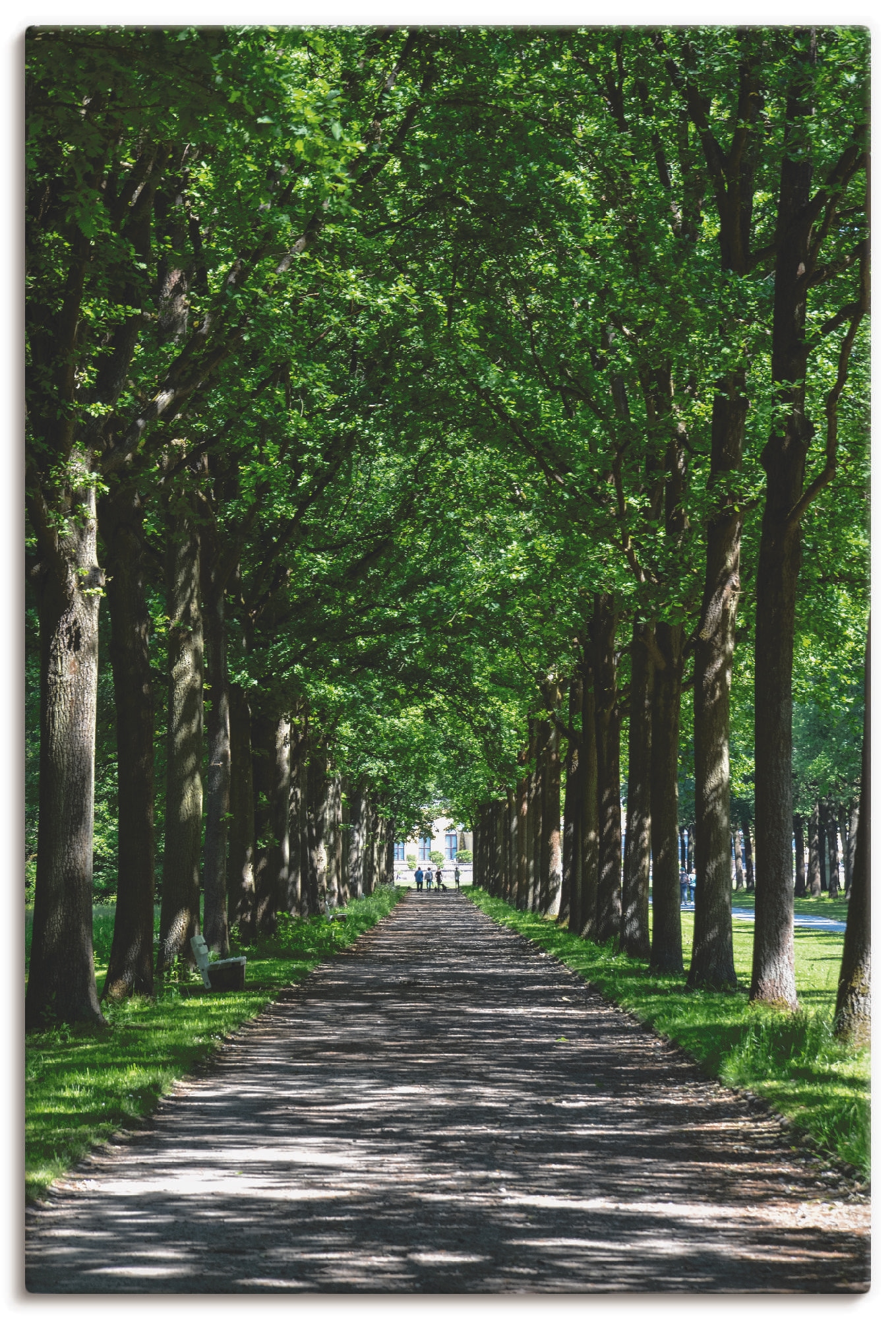 Image of Artland Leinwandbild "Allee in der Karlsaue in Kassel" Bäume 1 Stk. tlg. auf Holzrahmen gespannt