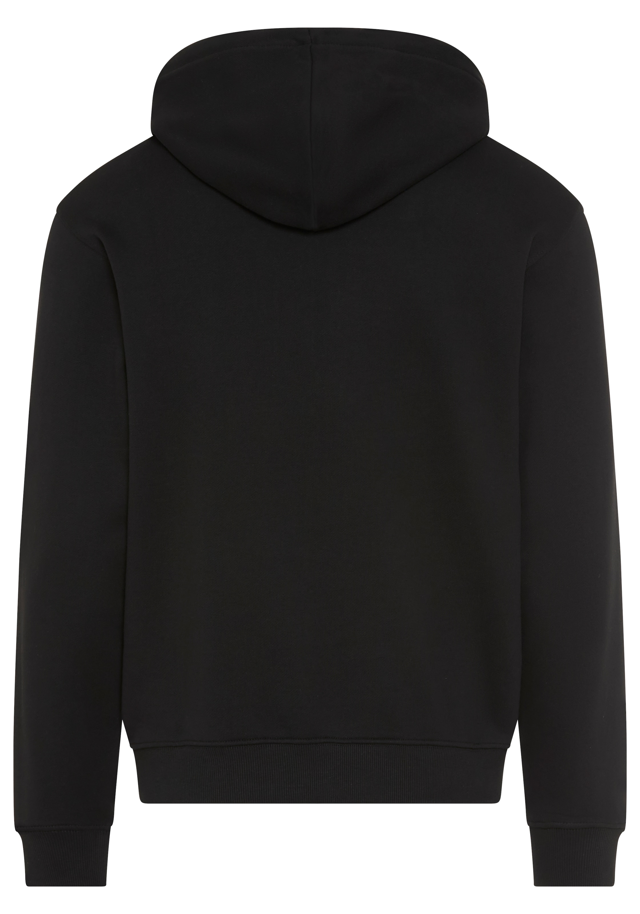 Replay Sweat à capuche en coton, coupe régulière
