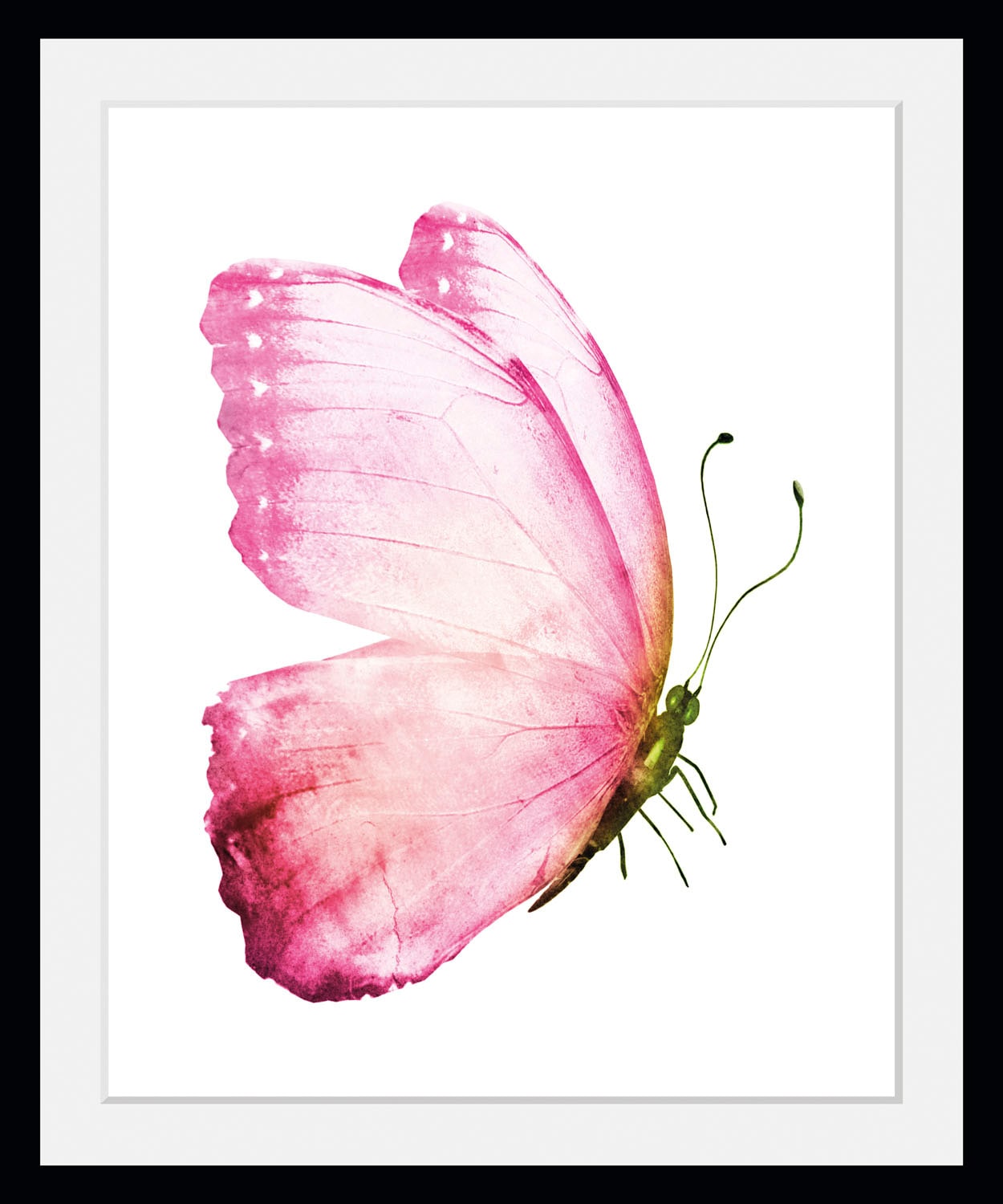 Image of queence Bild "Apache" Insekten Kunst Schmetterlinge Schwarz-Weiss 1 Stk. tlg. HD Premium Poster-Druck inkl. Holzrahmen