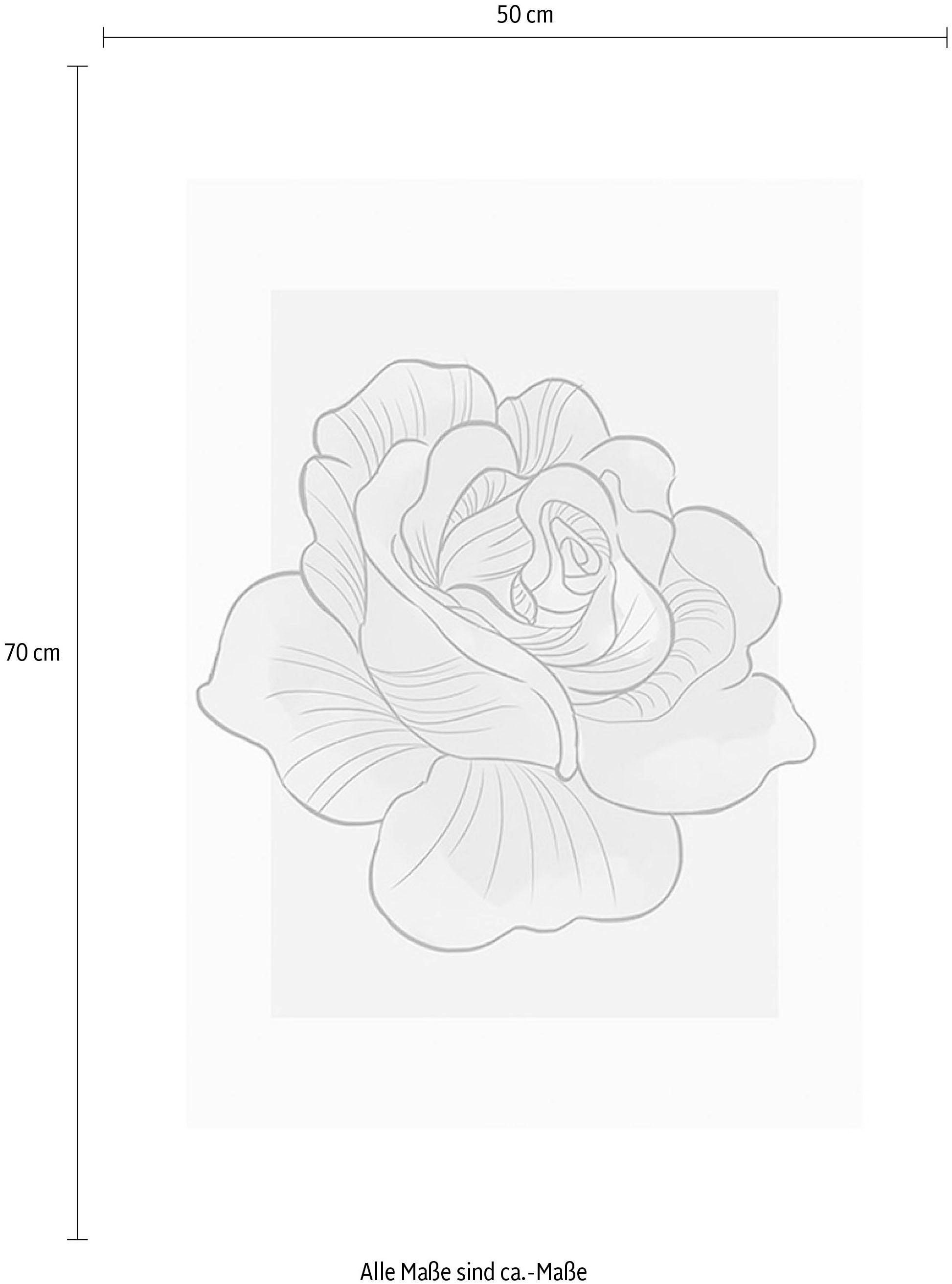 Komar Bild »Cinderella Rose«, Disney, (1 St.), Wandbild zur Dekoration im Kinderzimmer - ohne Rahmen