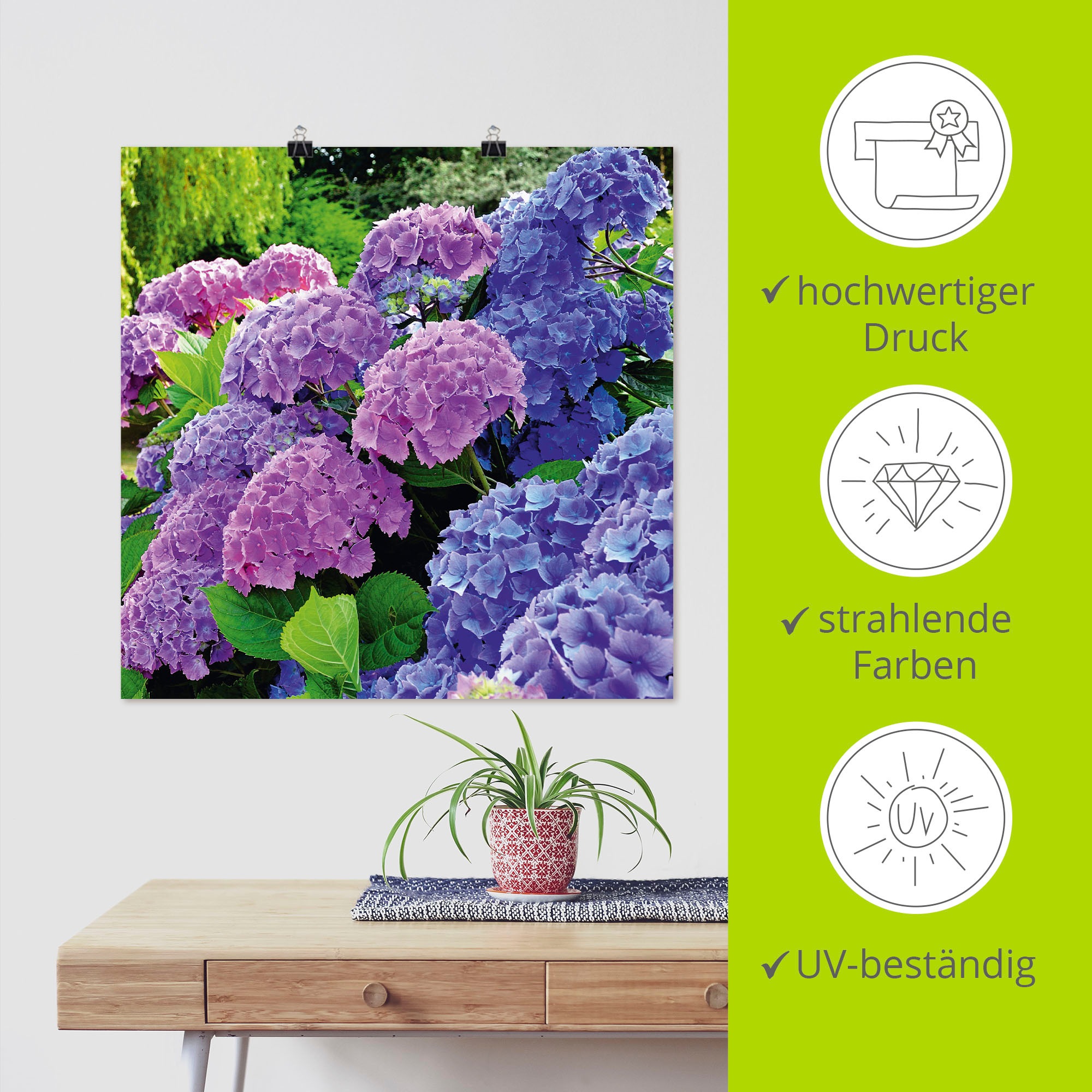 Artland Wandbild »Hortensien im Garten«, Blumen, (1 St.), als Alubild, Outdoorbild, Leinwandbild, Poster, Wandaufkleber