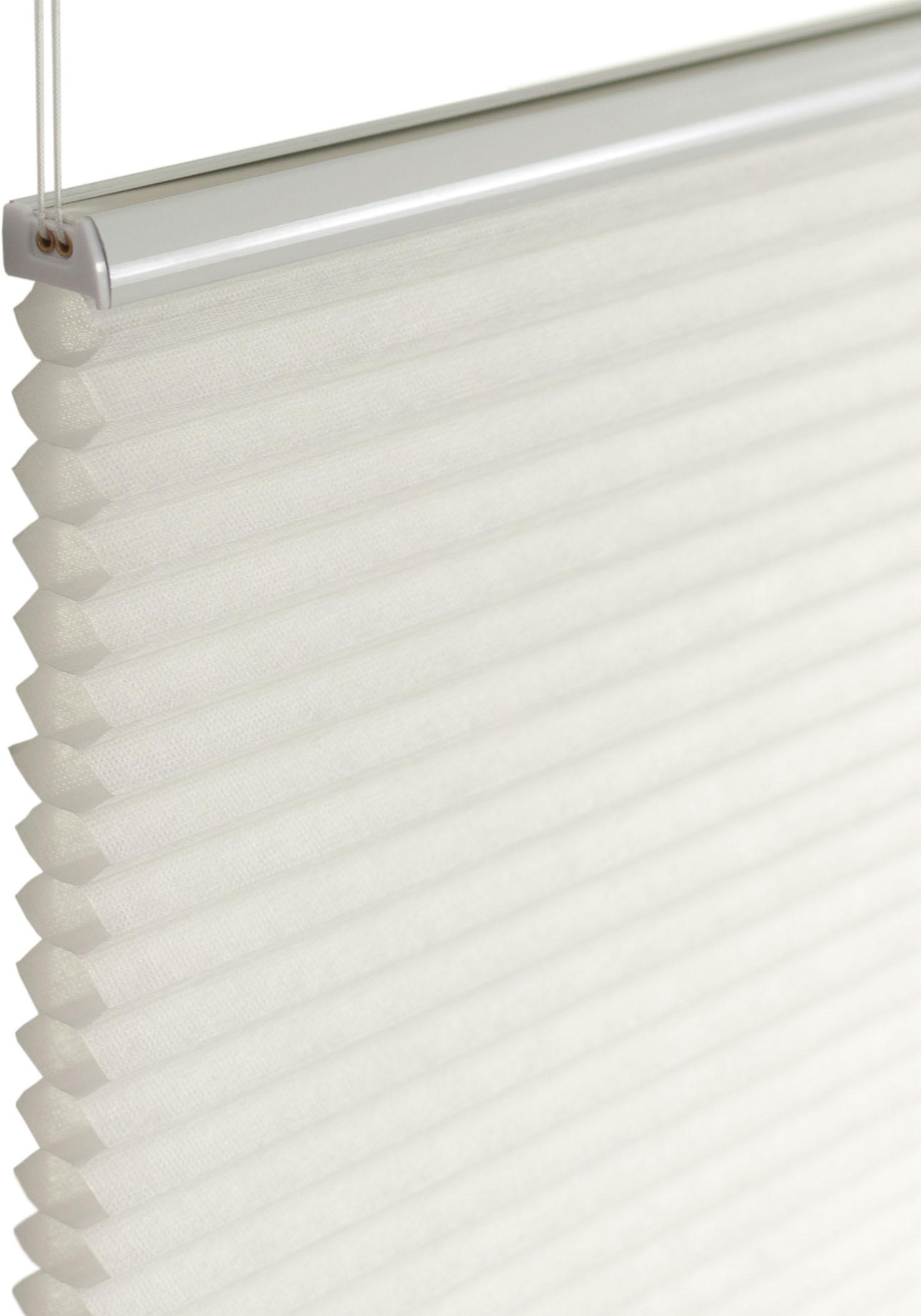 Image of Kutti Wabenplissee »Lucy«, Lichtschutz, energiesparend, ohne Bohren, verspannt, Lichtschutz, blickdicht bei Ackermann Versand Schweiz