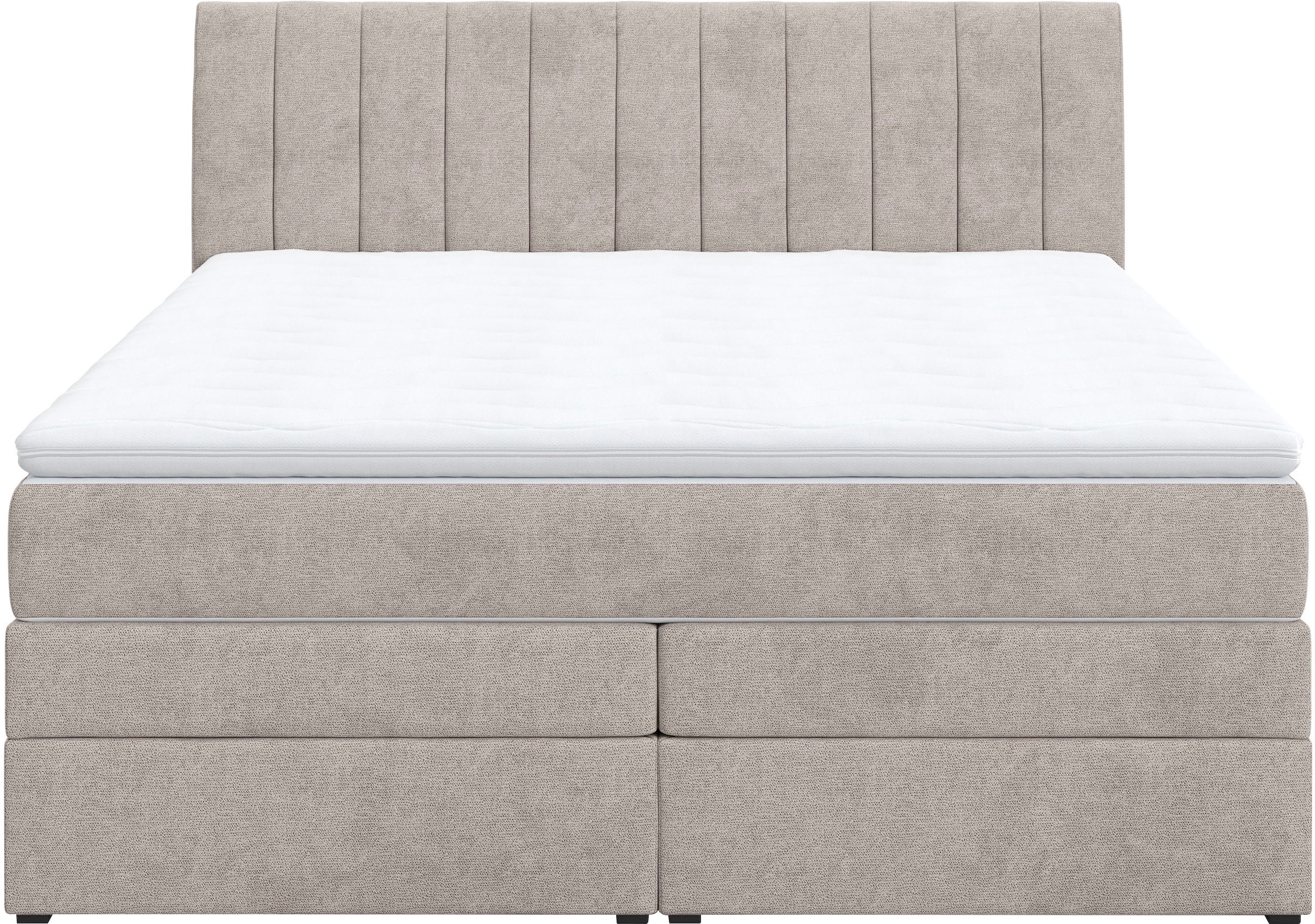 COTTA Boxspringbett »Shark inkl. Bettkasten und Topper« erhältlich in den Breiten 140x200cm, 160x200cm und 180x200cm