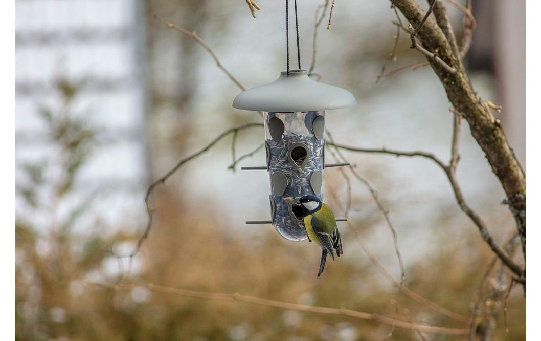   Vogelhaus »Plastia Robin 3-in-1«
