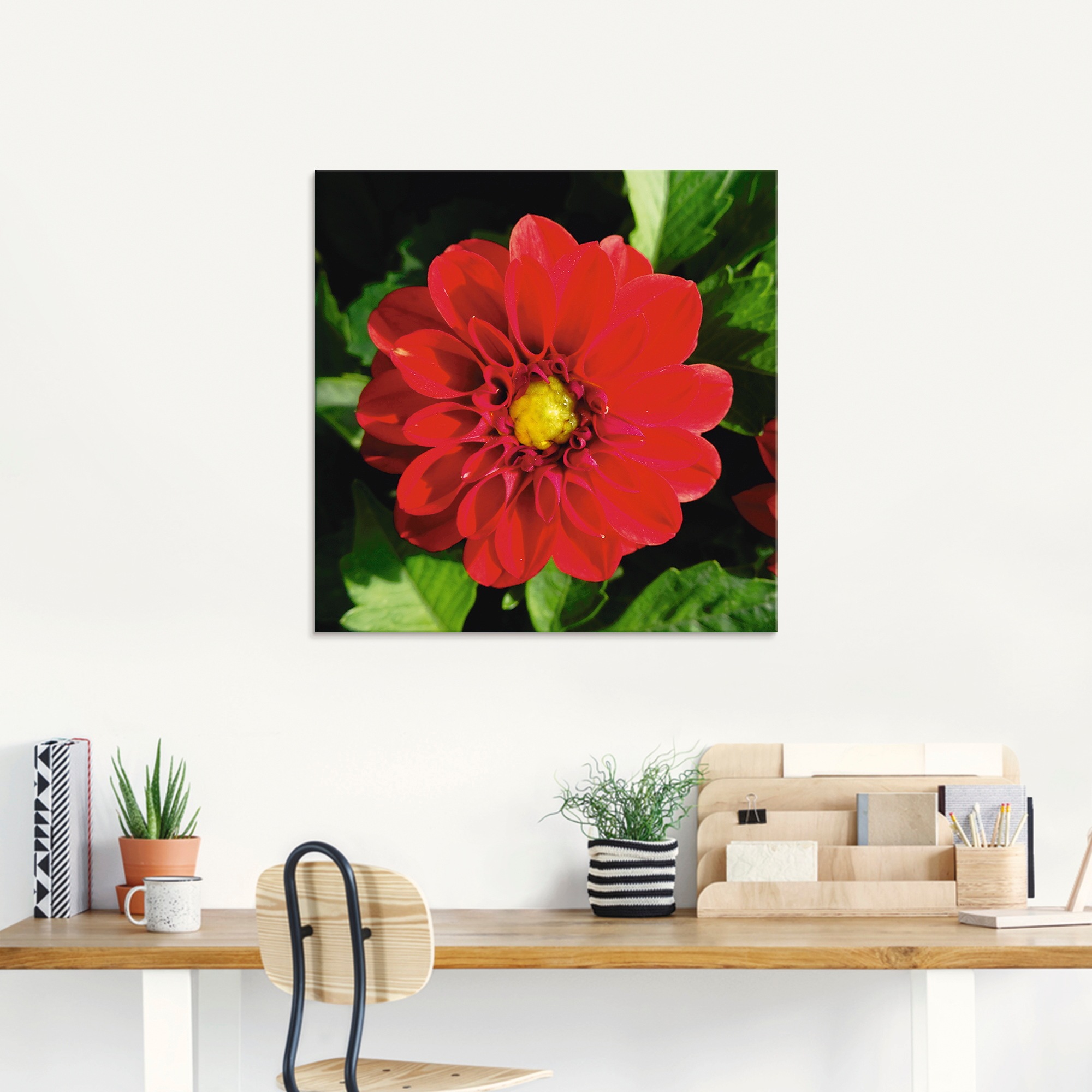 Artland Glasbild »Rote Dahlienblüte«, Blumen, (1 St.), in verschiedenen Grössen