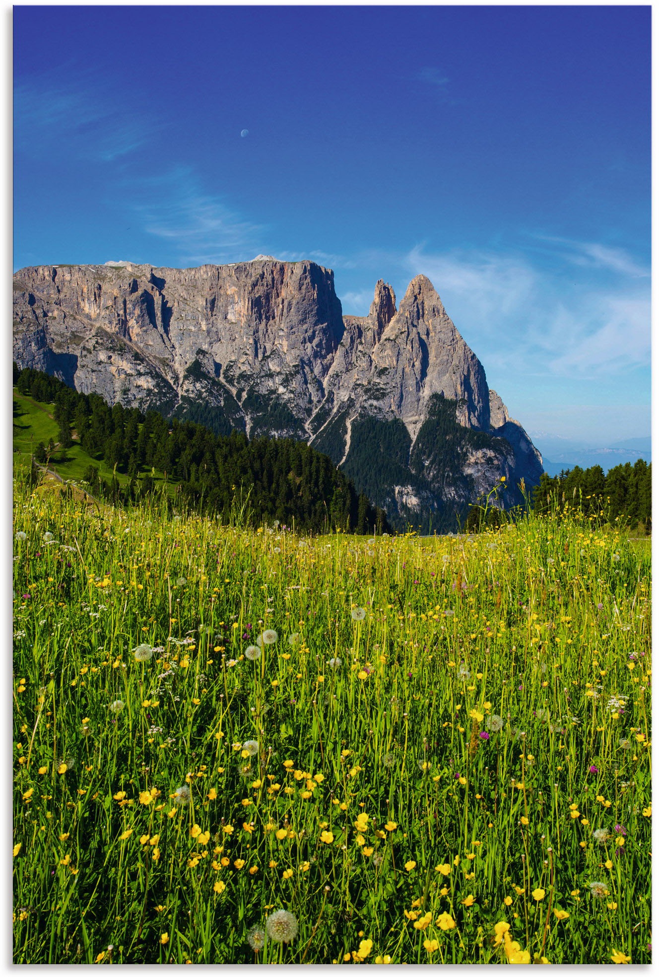 Artland Poster Alubild, auf & »Blumenwiese kaufen in Berge Wandaufkleber Grössen (1 Leinwandbild, St.), Südtirol«, Wandbild der Alm oder Alpenbilder, Seiser versch. als