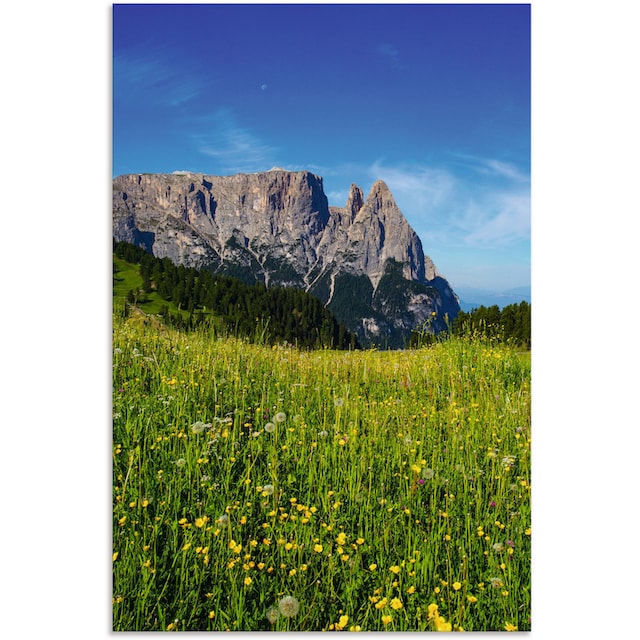 Artland Wandbild »Blumenwiese auf der Seiser Alm Südtirol«, Berge &  Alpenbilder, (1 St.), als Alubild, Leinwandbild, Wandaufkleber oder Poster  in versch. Grössen kaufen