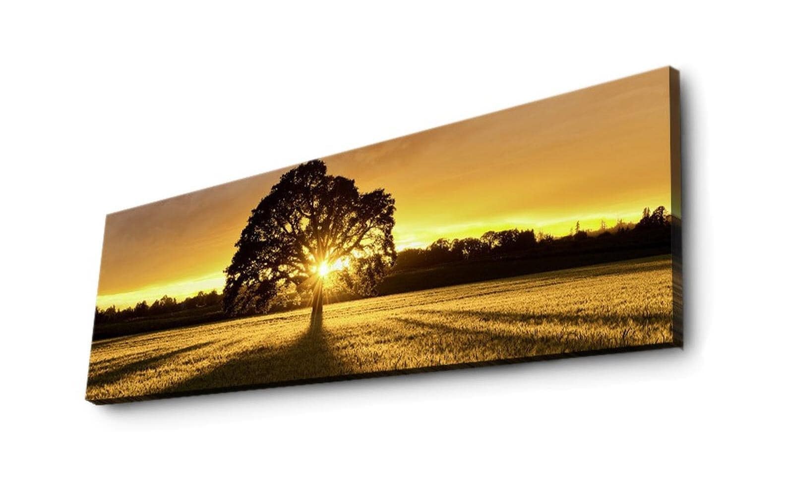 Image of Wandbild "Wallxpert Tree" Baum