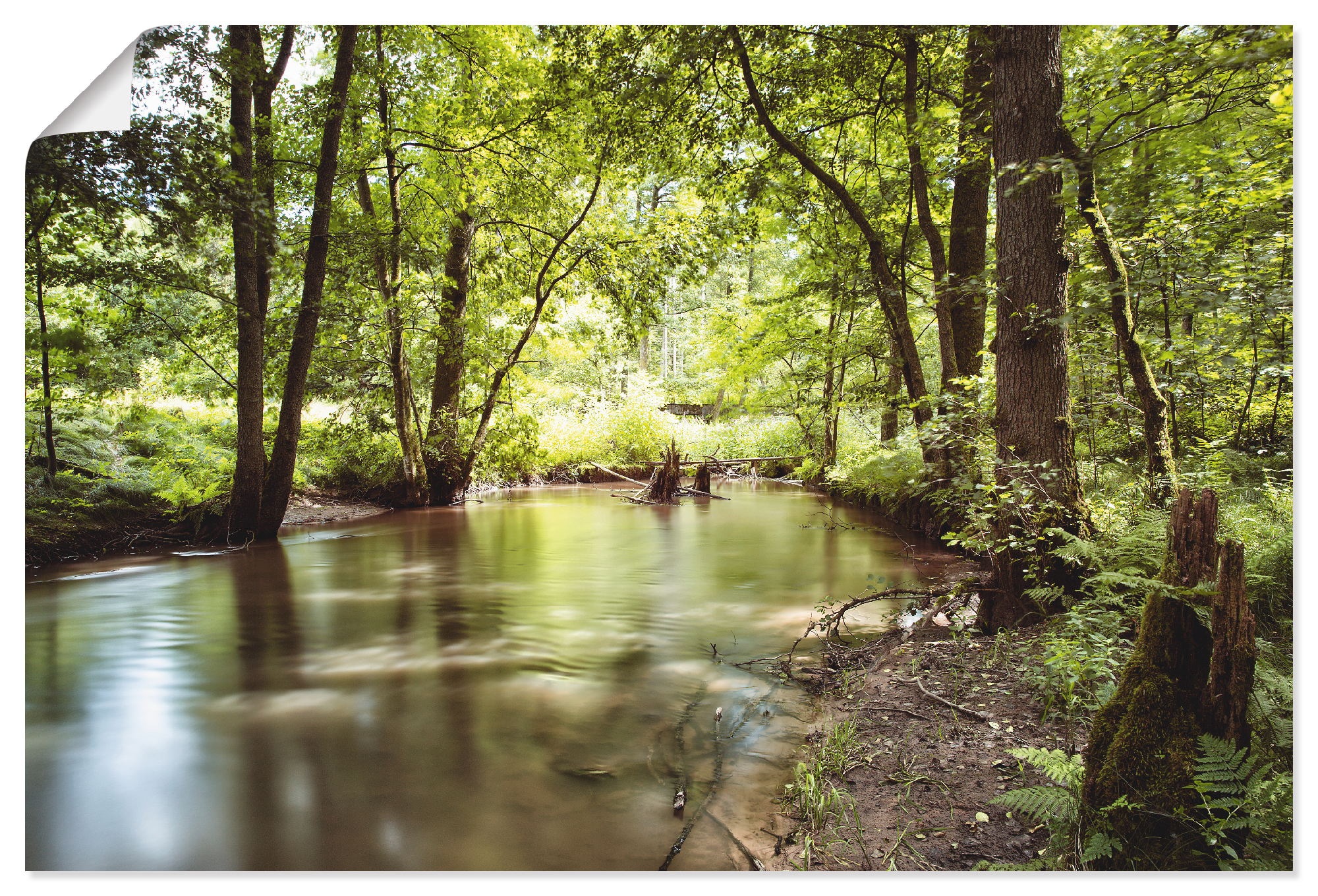 Image of Artland Wandbild »Spessart II«, Wald, (1 St.), in vielen Grössen & Produktarten - Alubild / Outdoorbild für den Aussenbereich, Leinwandbild, Poster, Wandaufkleber / Wandtattoo auch für Badezimmer geeignet bei Ackermann Versand Schweiz