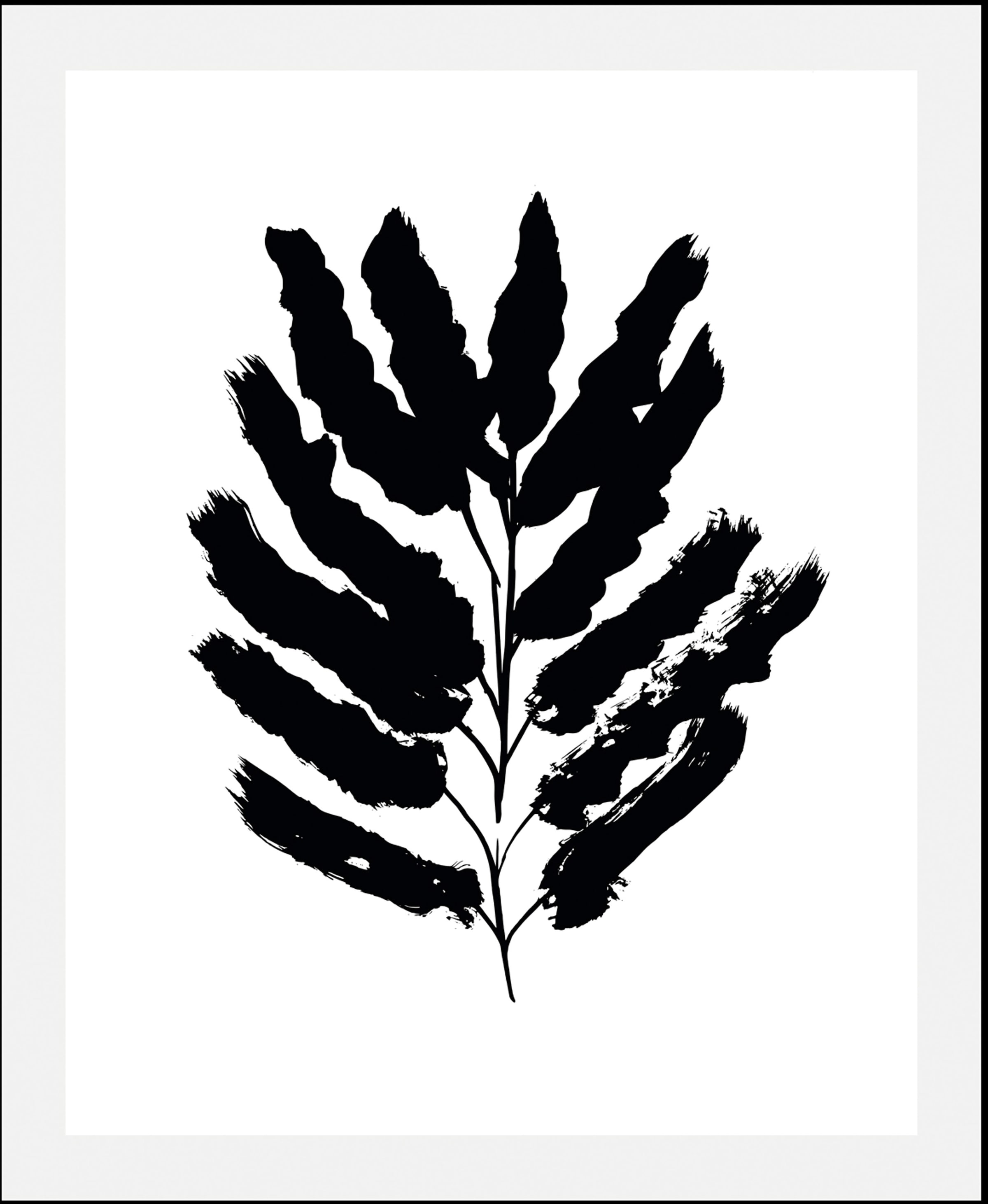 Image of queence Bild "Holle" Art Blumen Kunst Pflanzen Pflanzenbilder Schwarz-Weiss 1 Stk. tlg. gerahmt