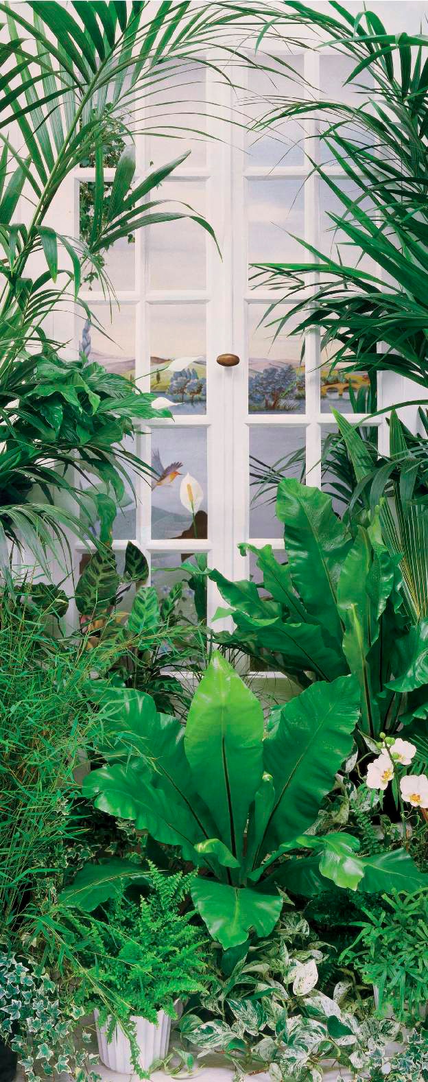 Image of Papermoon Fototapete "Flower Window - Türtapete" matt