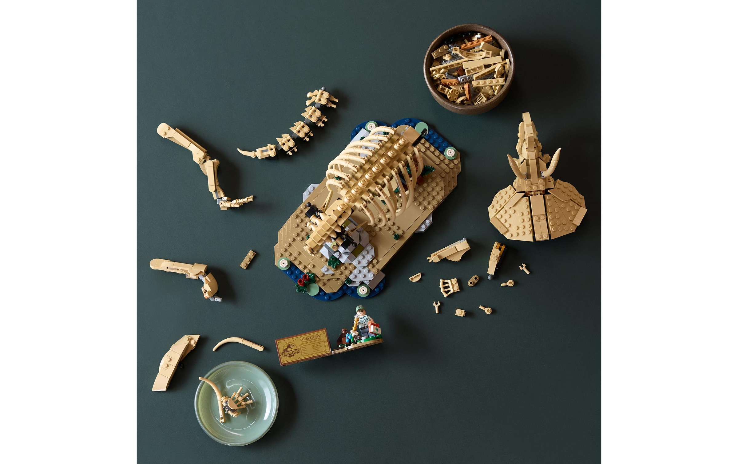 LEGO® Konstruktionsspielsteine »Dinosaurier-Fossilien: Triceratops (77985), LEGO Jurassic World« Made in Europe