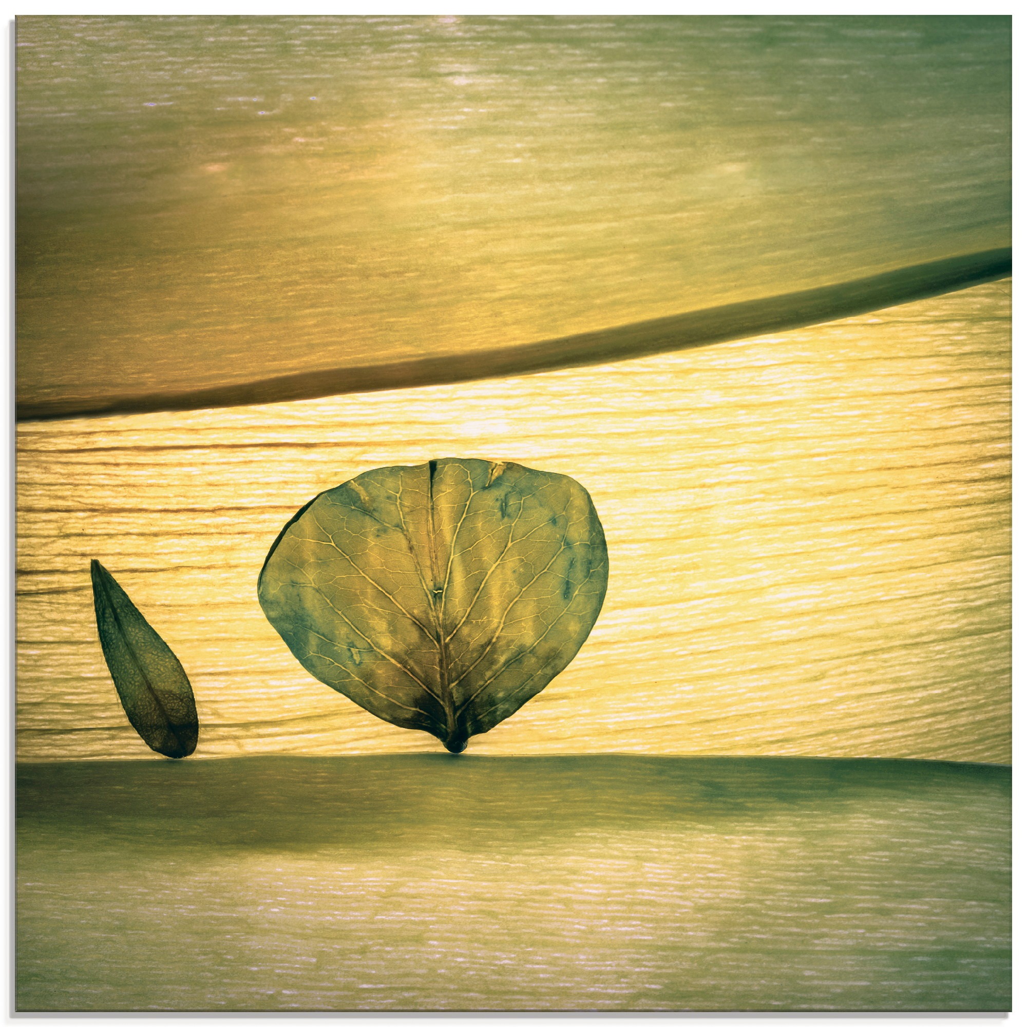 Image of Artland Glasbild »Frühling?«, Blätter, (1 St.) bei Ackermann Versand Schweiz