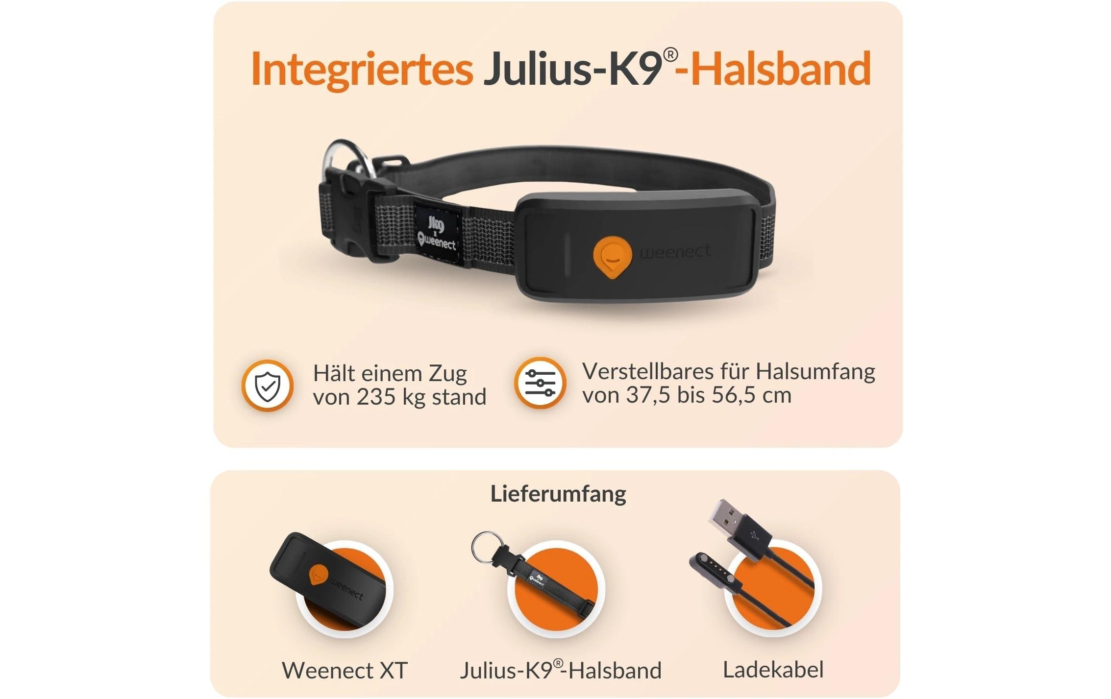   traceur GPS pour chiens »Weenect für Hunde XT mit Halsband«