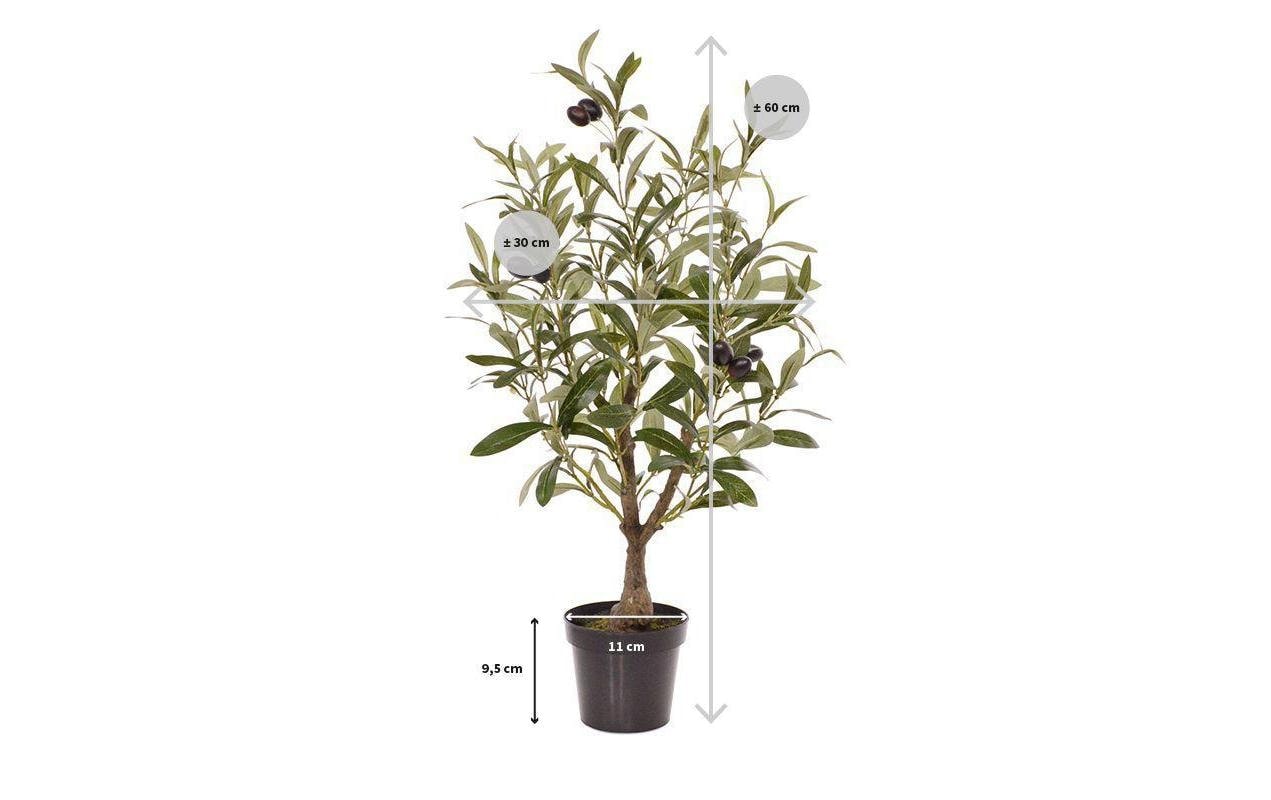 Botanic-Haus Kunstblume »Olivenbaum 60 cm«
