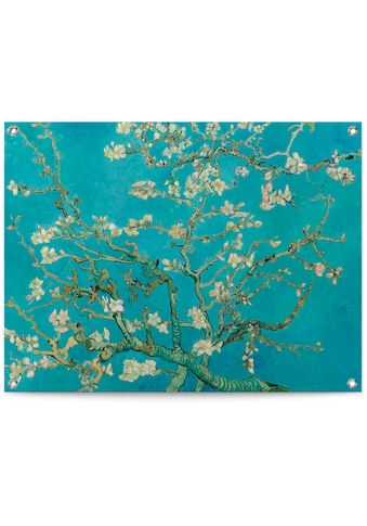 Poster »Mandelblüte - Vincent van Gogh«