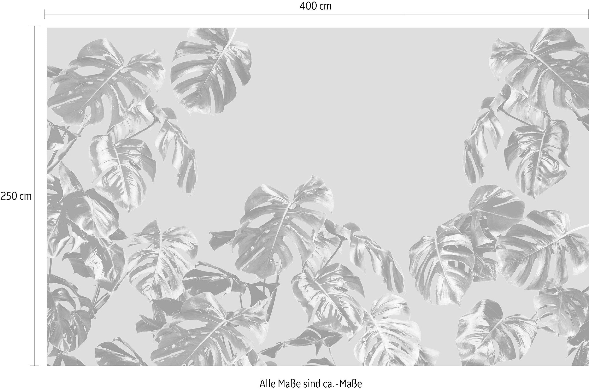 Komar Vliestapete »Digitaldruck Vlies -  Monstera Rosé - Grösse 400 x 250 cm« bedruckt glatt Wohnzimmer, Schlafzimmer