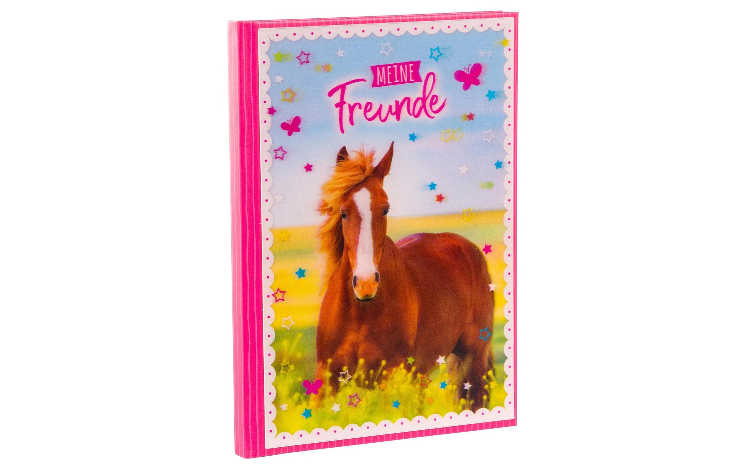 Goldfarbenbuch Poesiealbum »Freundebuch Pferdeliebe«