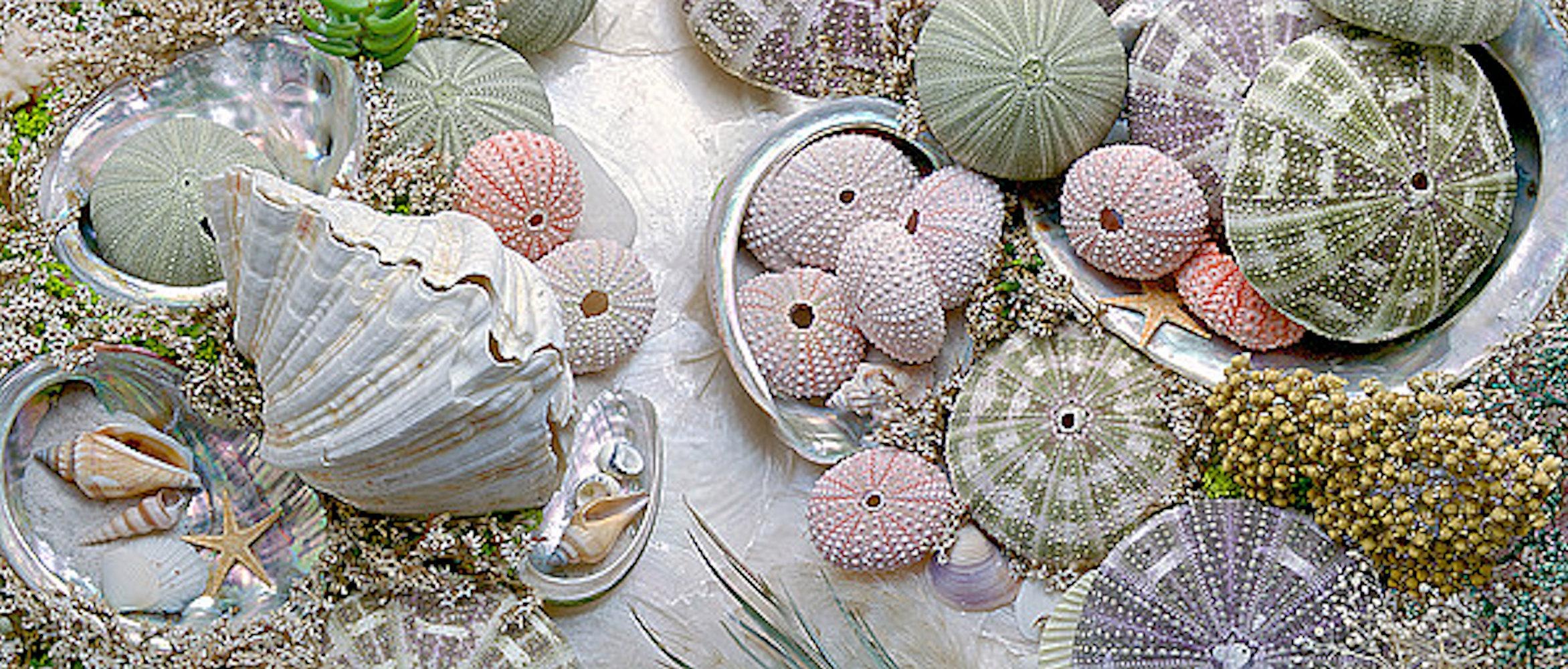 Image of Home affaire Leinwandbild »A.BLAUSTEIN/Island 7«, 100/50 cm bei Ackermann Versand Schweiz