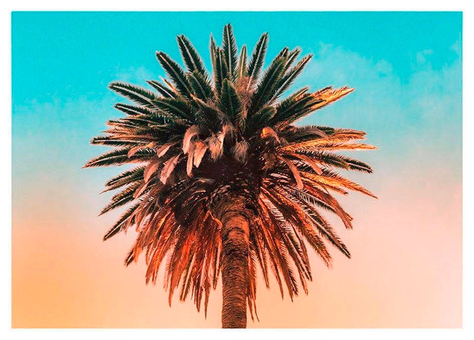 Image of Komar Bild "Palm Tree" Blätter Pflanzen 1 Stk. tlg. Wandbild zur Dekoration - ohne Rahmen