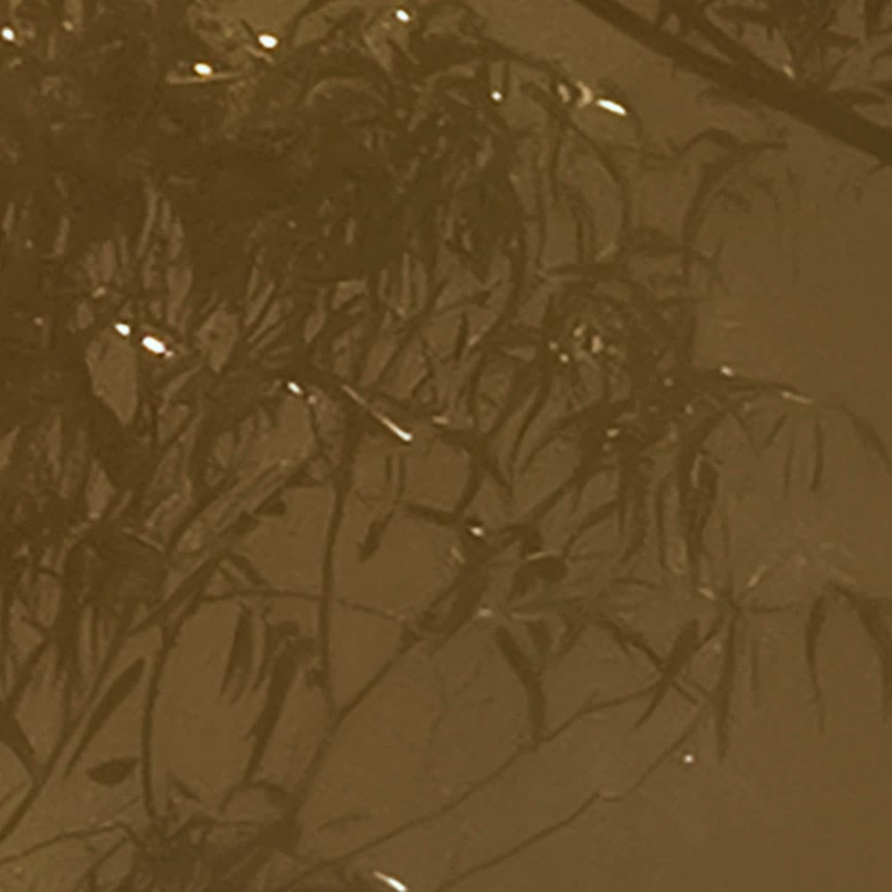 Komar Fototapete »Digitaldruck Vlies -  Foggy Sunshine - Grösse 400 x 250 cm« bedruckt glatt Wohnzimmer, Schlafzimmer