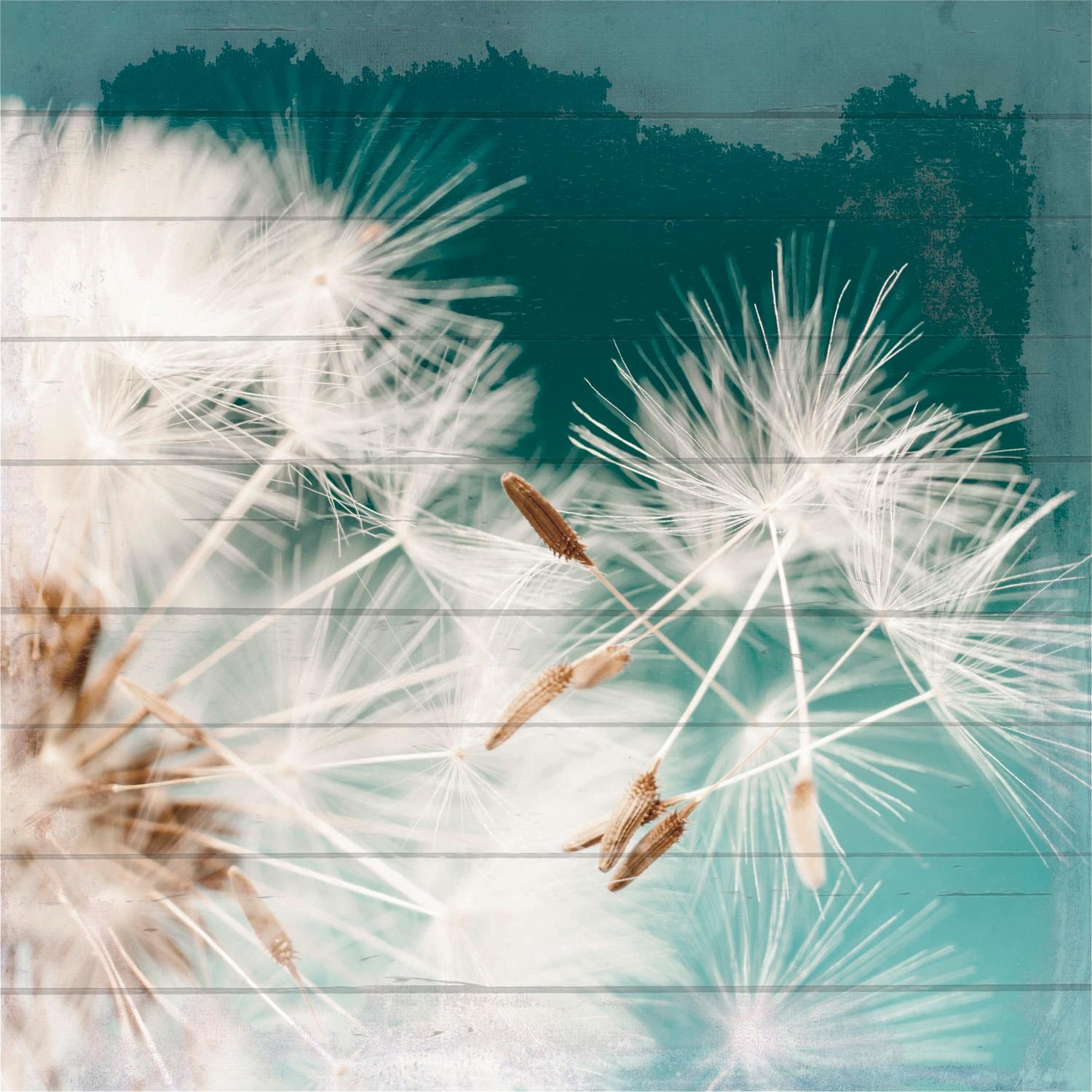 Image of Home affaire Holzbild »Pusteblume«, 40/40 cm bei Ackermann Versand Schweiz