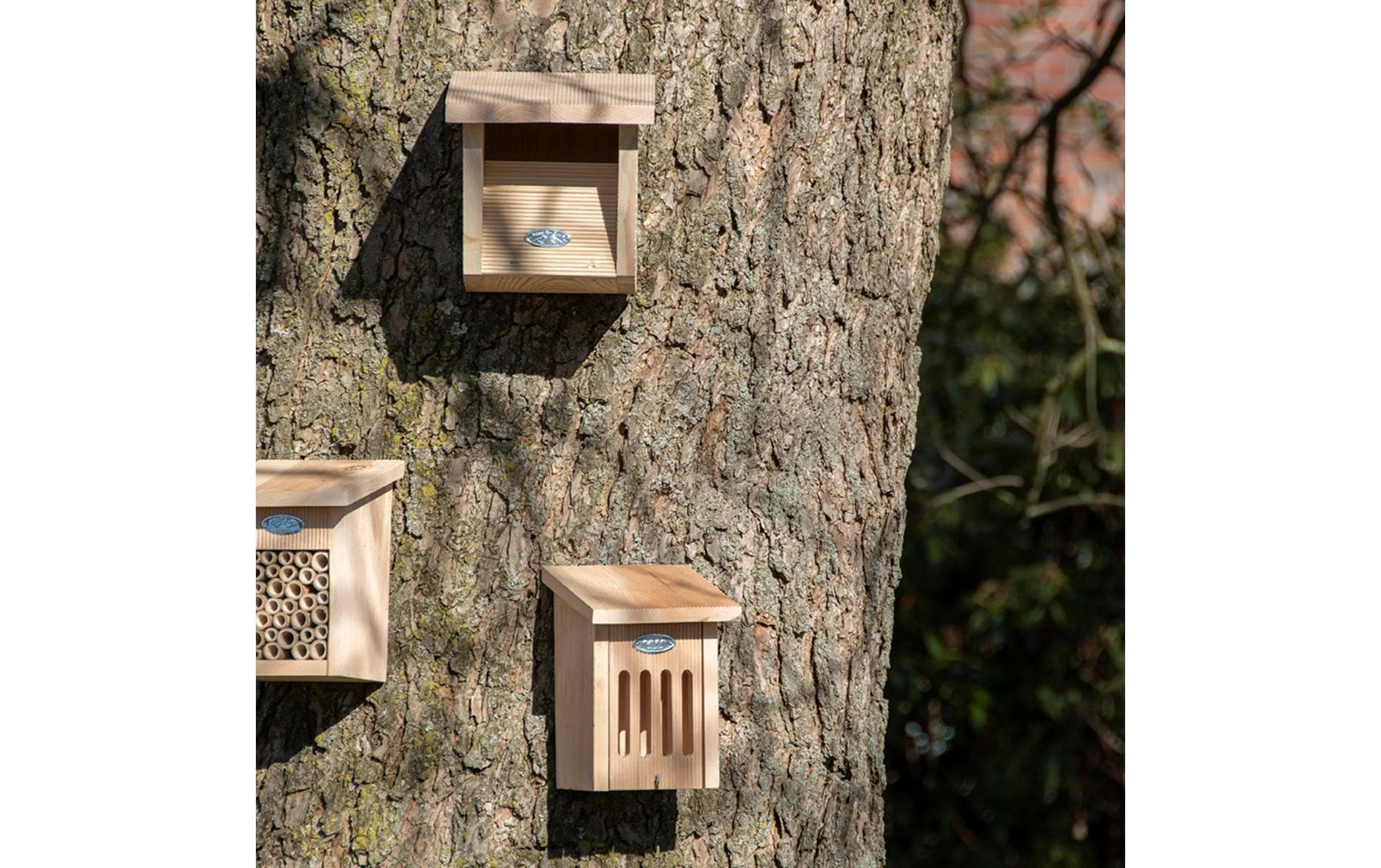 esschert design Nistkasten »Rotkehlchen«, Holzart: Erle