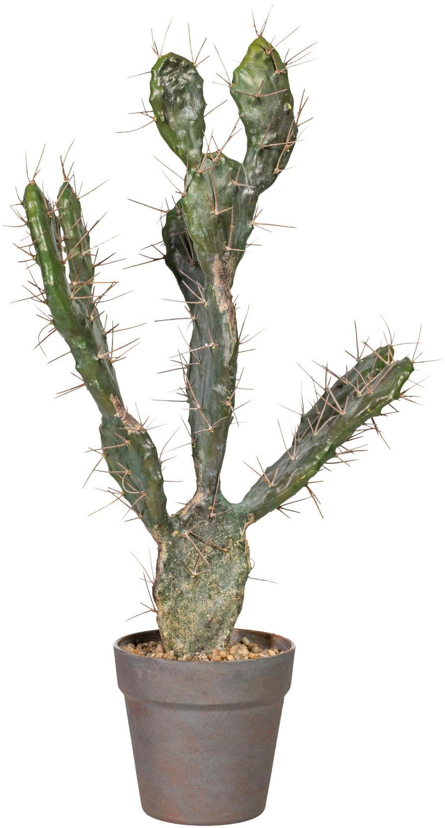 Image of Creativ green Kunstpflanze »Kaktus Opuntie«, (1 St.) bei Ackermann Versand Schweiz