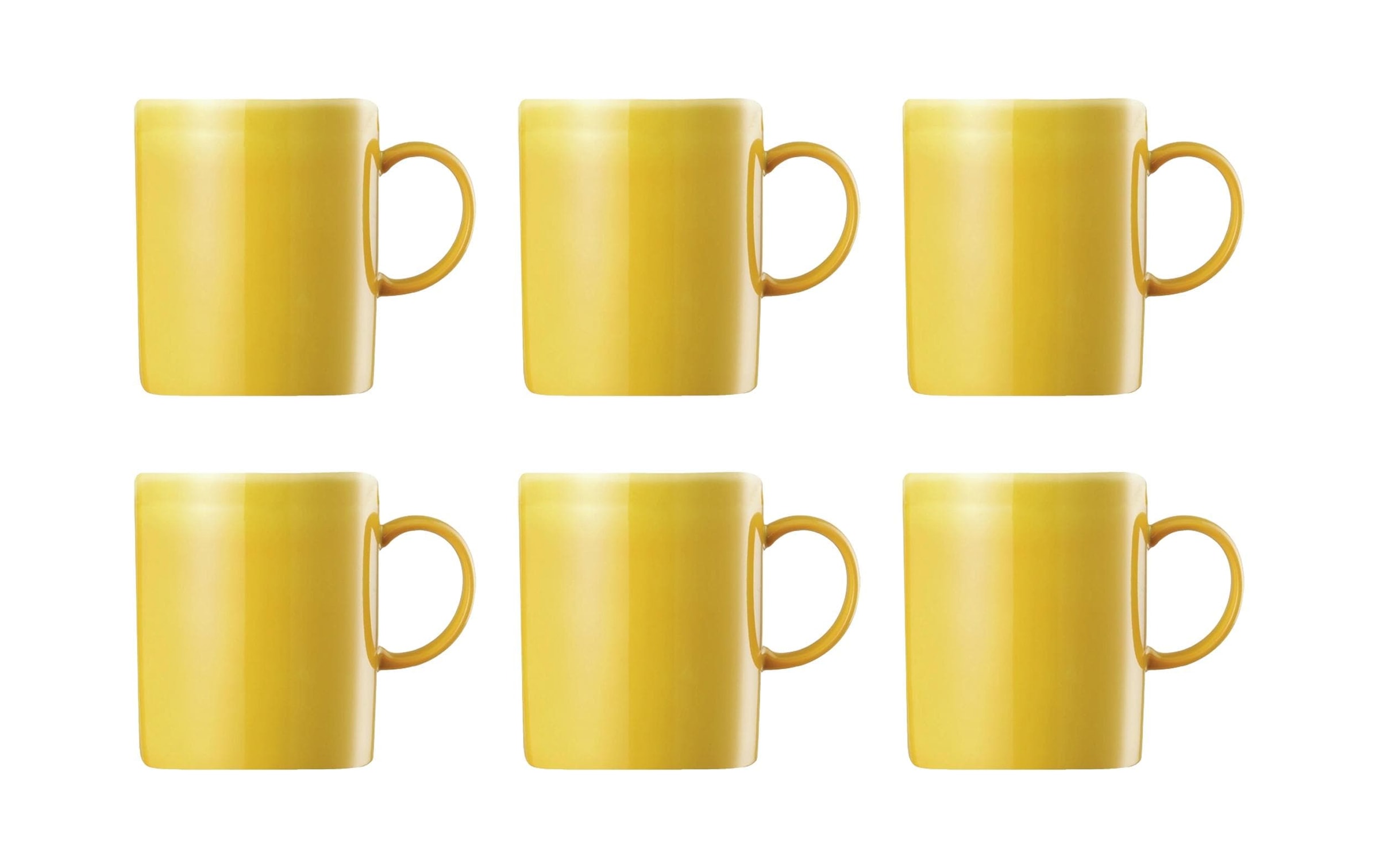 Thomas Porzellan Tasse »Sunny Day 300 ml, 6 Stück« Tassen-Set mit Henkel