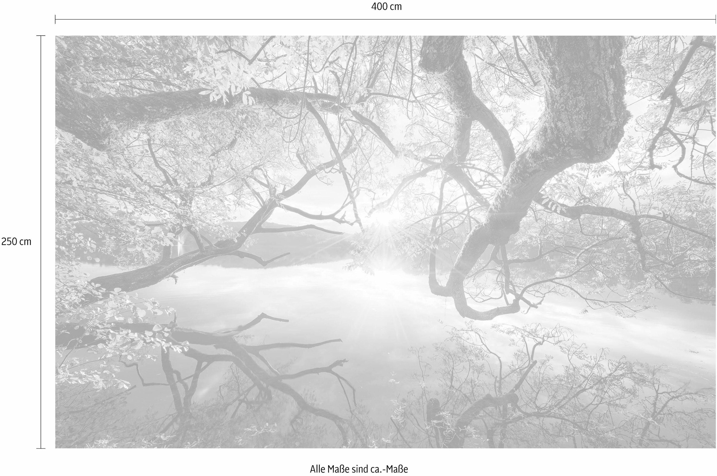 Komar Vliestapete »Digitaldruck Vlies -  Golden Embrace - Grösse 400 x 250 cm« bedruckt glatt Wohnzimmer, Schlafzimmer