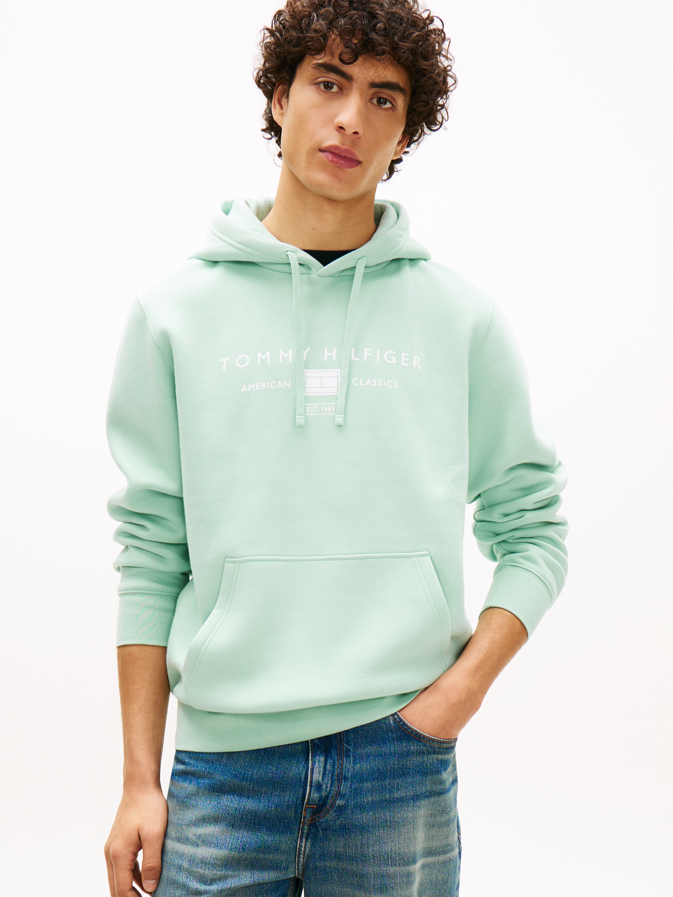 Image of Tommy Hilfiger Hoodie "BRAND LOVE TR MONO STACK"