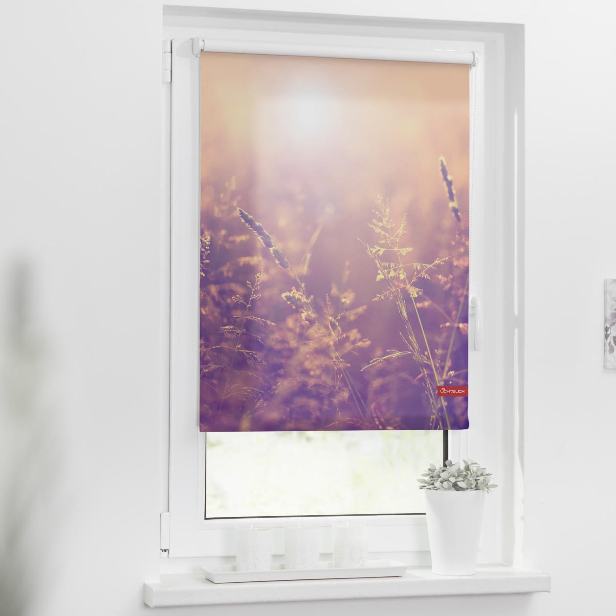 Image of LICHTBLICK ORIGINAL Seitenzugrollo »Rollo Klemmfix, ohne Bohren, Verdunkelung, Sommerabend - Orange«, verdunkelnd, Verdunkelung-energiesparend, freihängend bei Ackermann Versand Schweiz