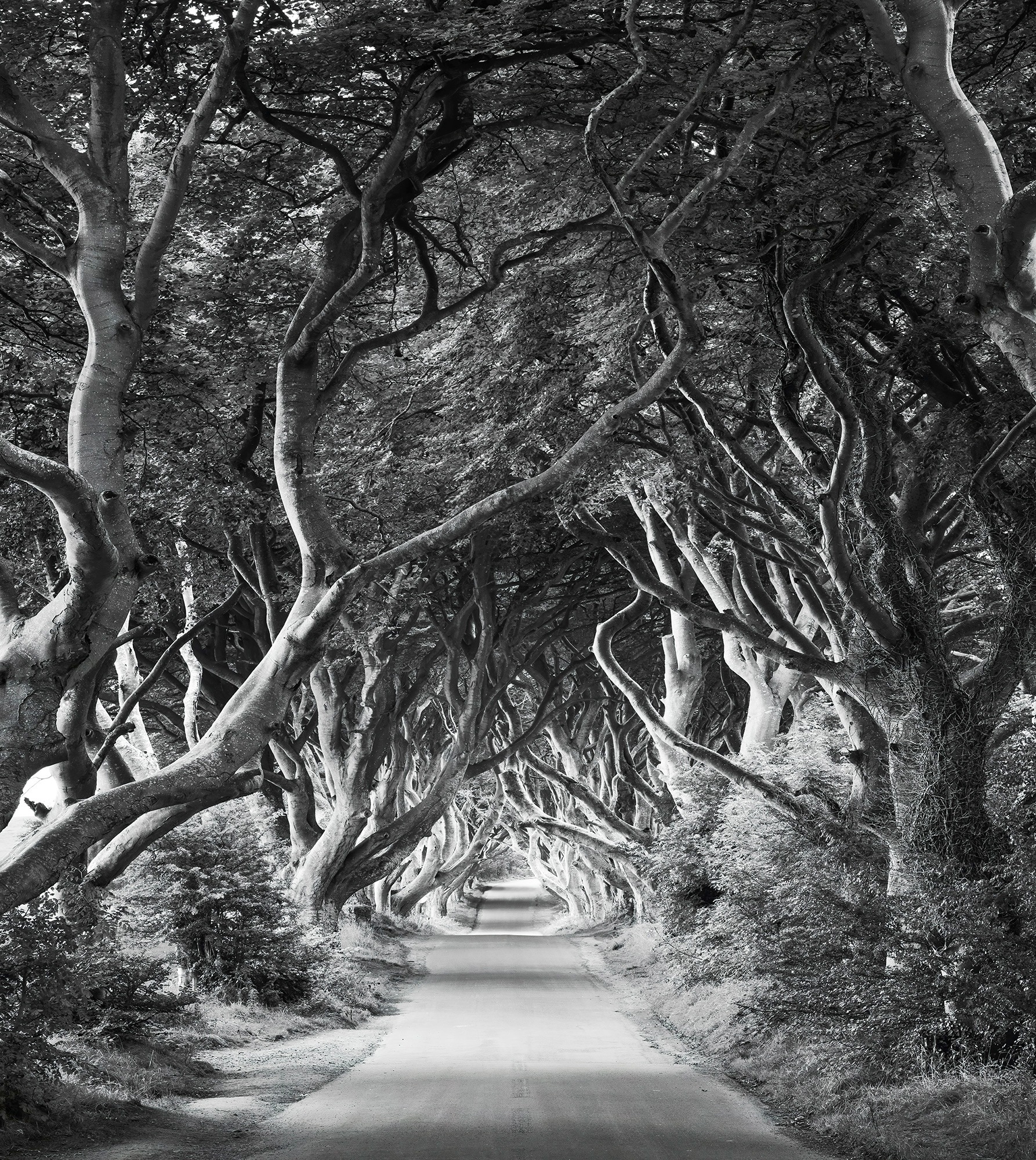 Image of Komar Fototapete »Forevenue«, mehrfarbig-natürlich-bedruckt bei Ackermann Versand Schweiz