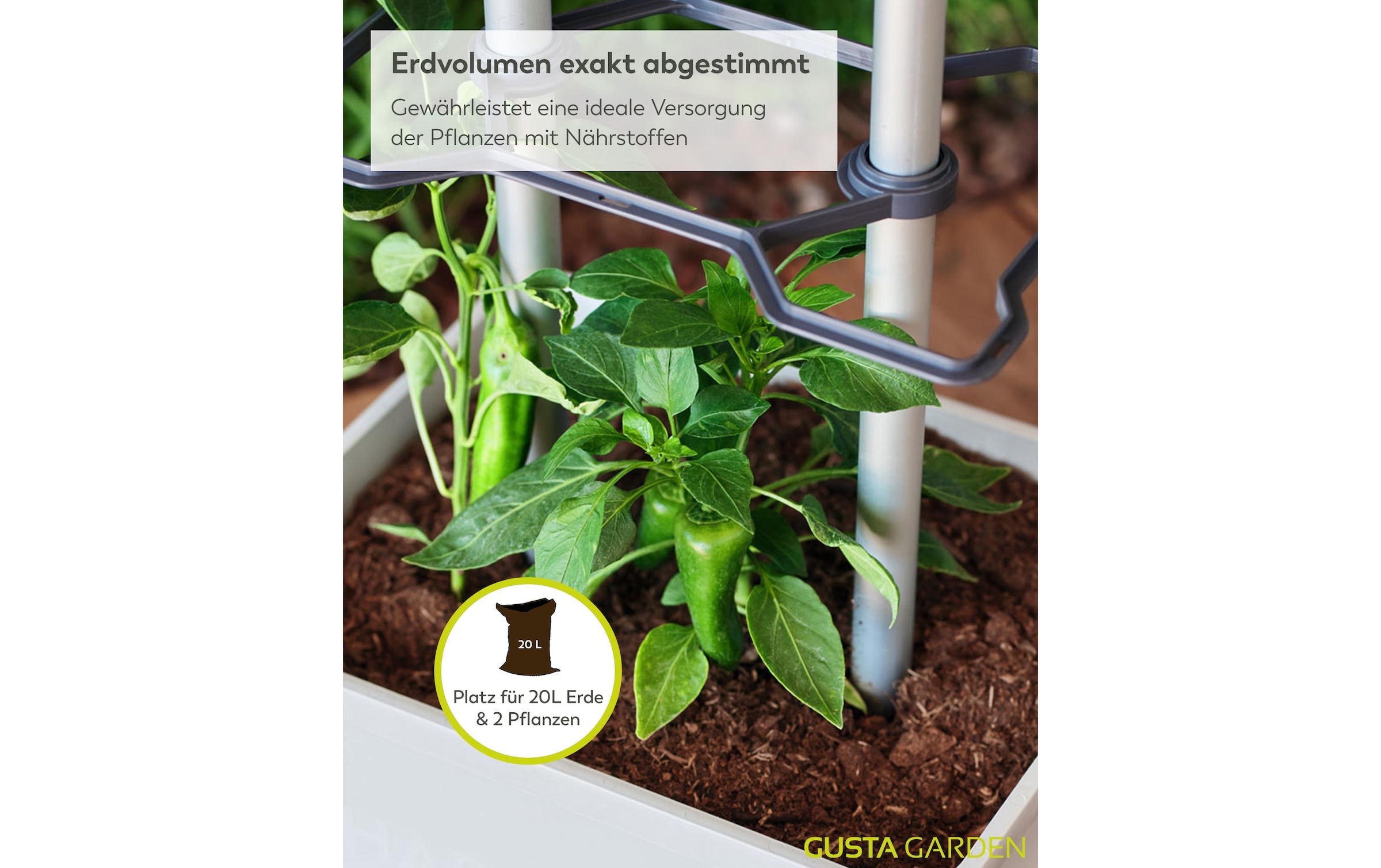 Gusta Garden Anzuchttopf »Charly Chili XL«