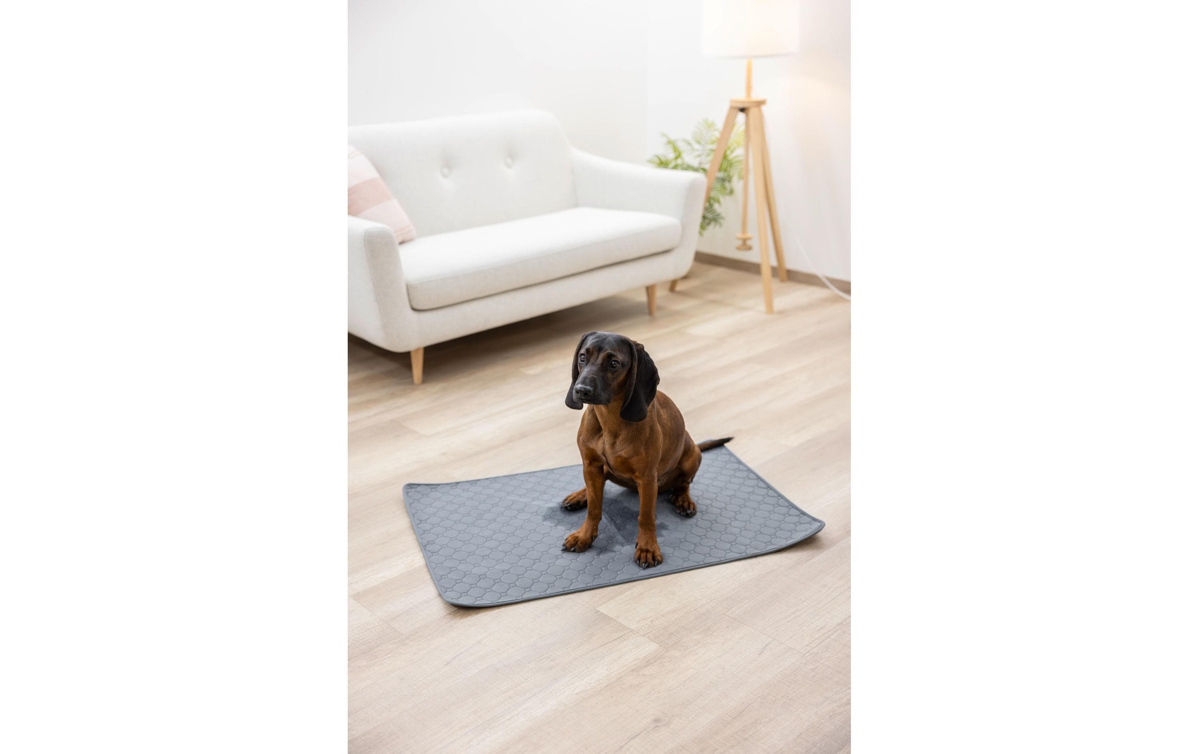 Kerbl Hundematte »Waschbare Urinunterlage 115 x 75 cm«
