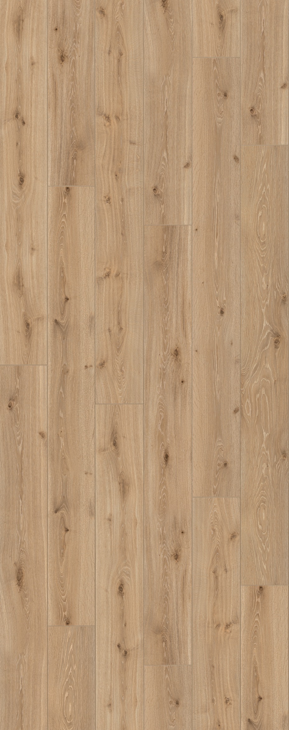 Image of PARADOR Laminat »Trendtime 6 - Eiche Castell Gekälkt«, (Packung), spezielle Trägerplatte, 2200 x 243 mm, Stärke: 9 mm bei Ackermann Versand Schweiz
