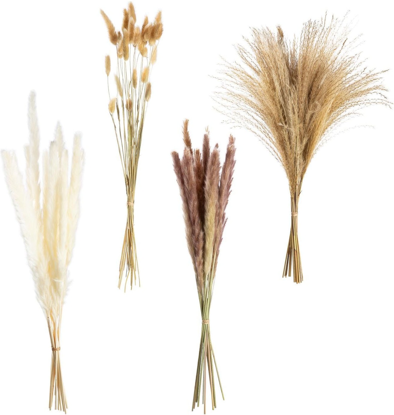 Image of GILDE Dekoobjekt "Bündel Trockenblume Seco naturfarben H. 53 cm"