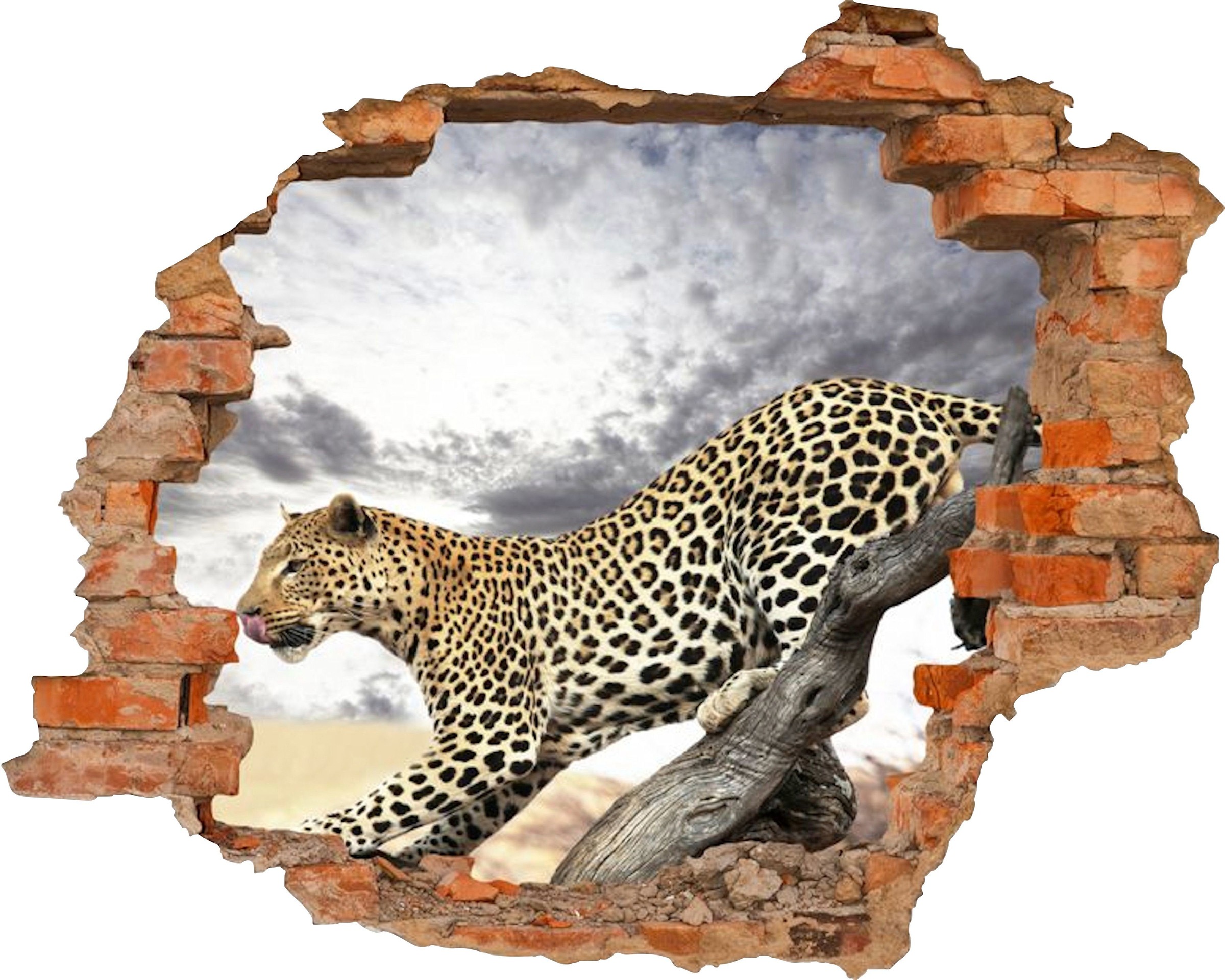 Image of Conni Oberkircher´s Wandsticker »Panther«, selbstklebend, Wildtiere, Natur bei Ackermann Versand Schweiz