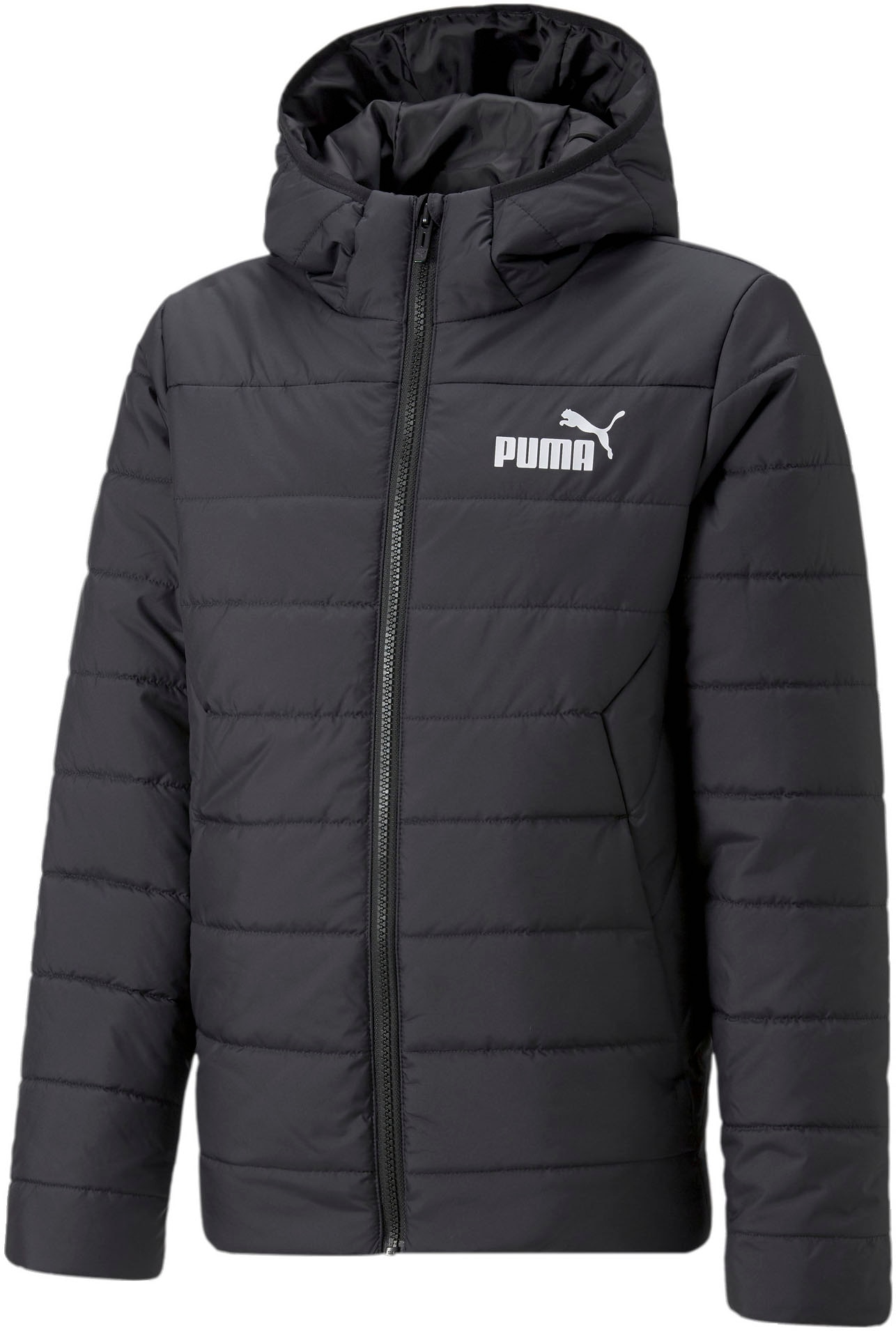 PUMA Winterjacke »ESS HOODED PADDED JACKET«, mit Kapuze